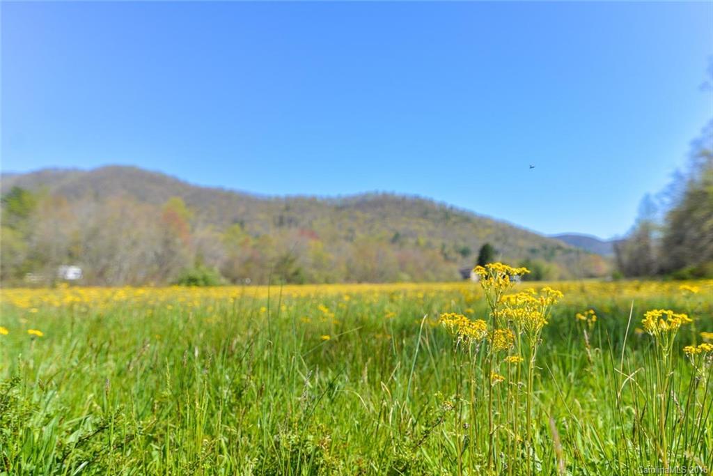 Robinson Creek - Land