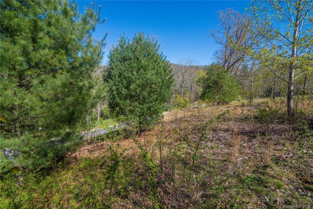 Robinson Creek - Land