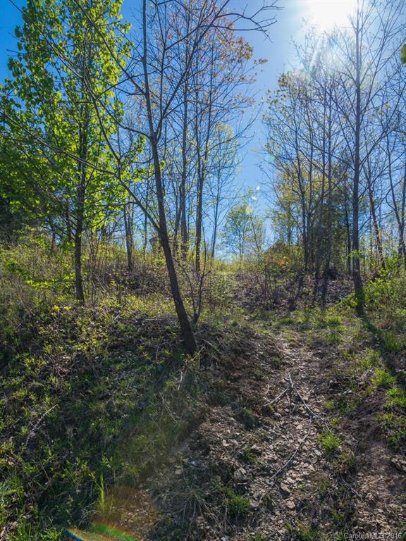 Robinson Creek - Land