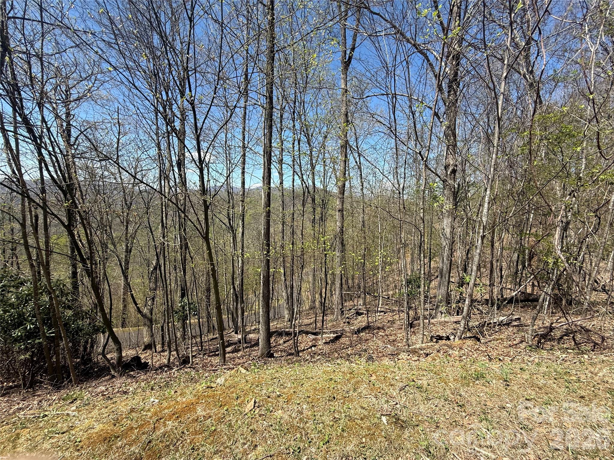 24 Elk Mountain Loop, Newland, NC, 28657