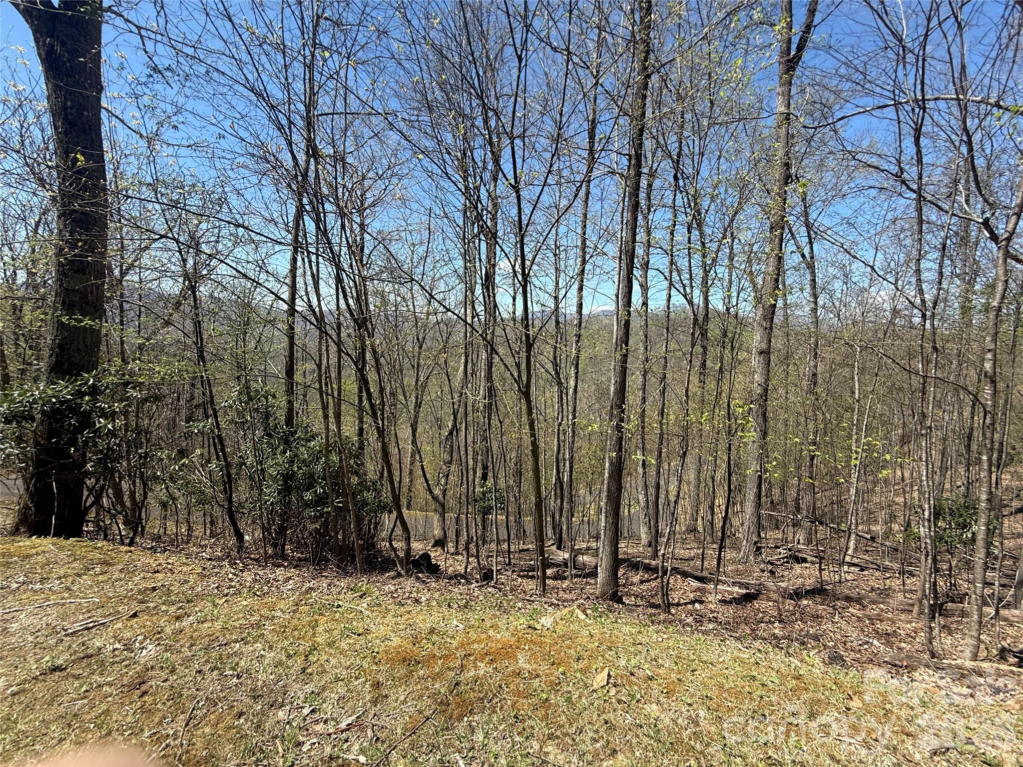 24 Elk Mountain Loop