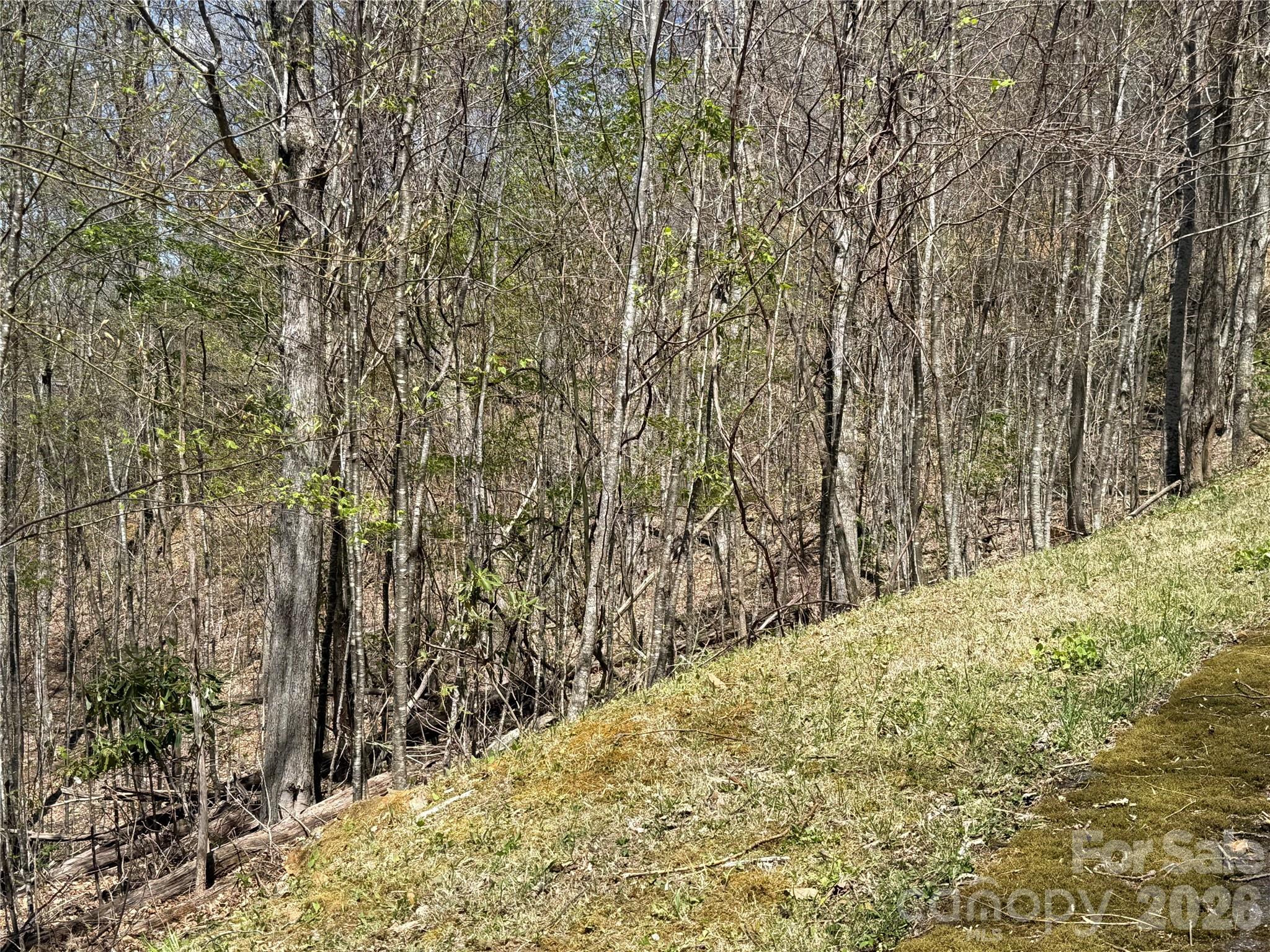 24 Elk Mountain Loop