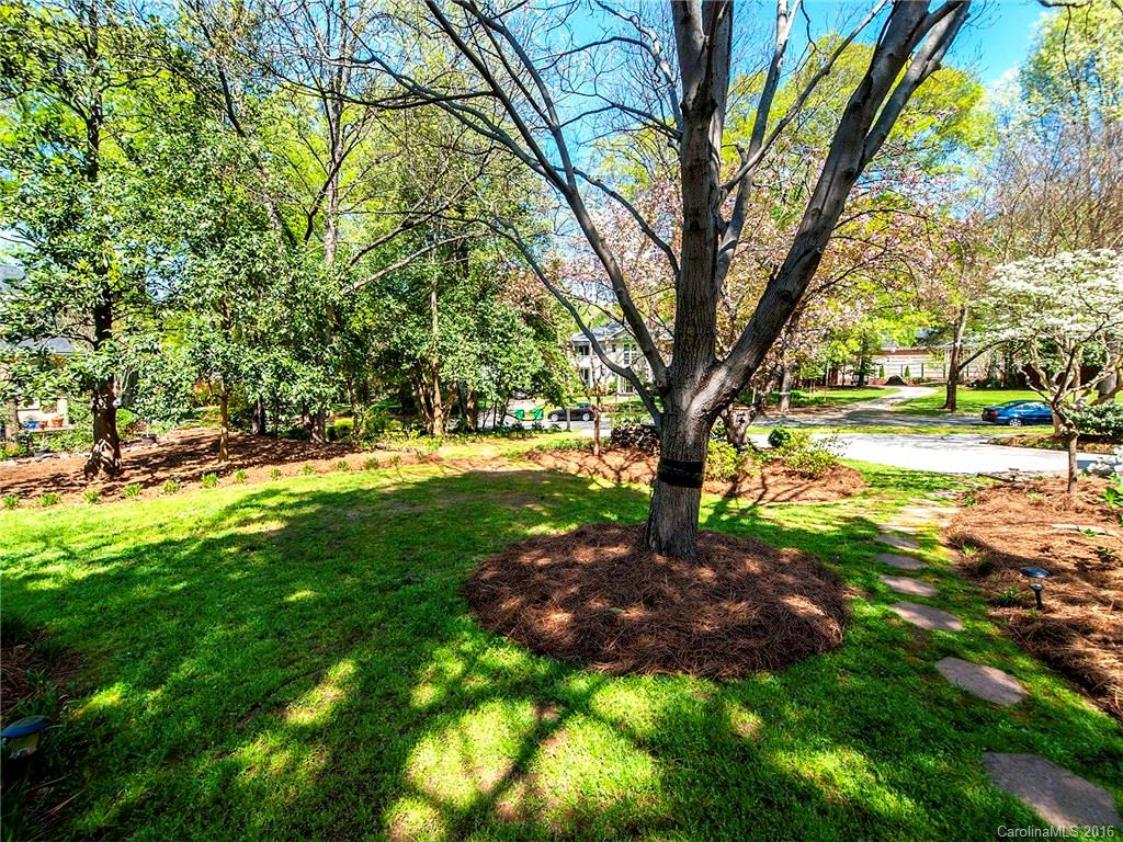 Myers Park - Residential