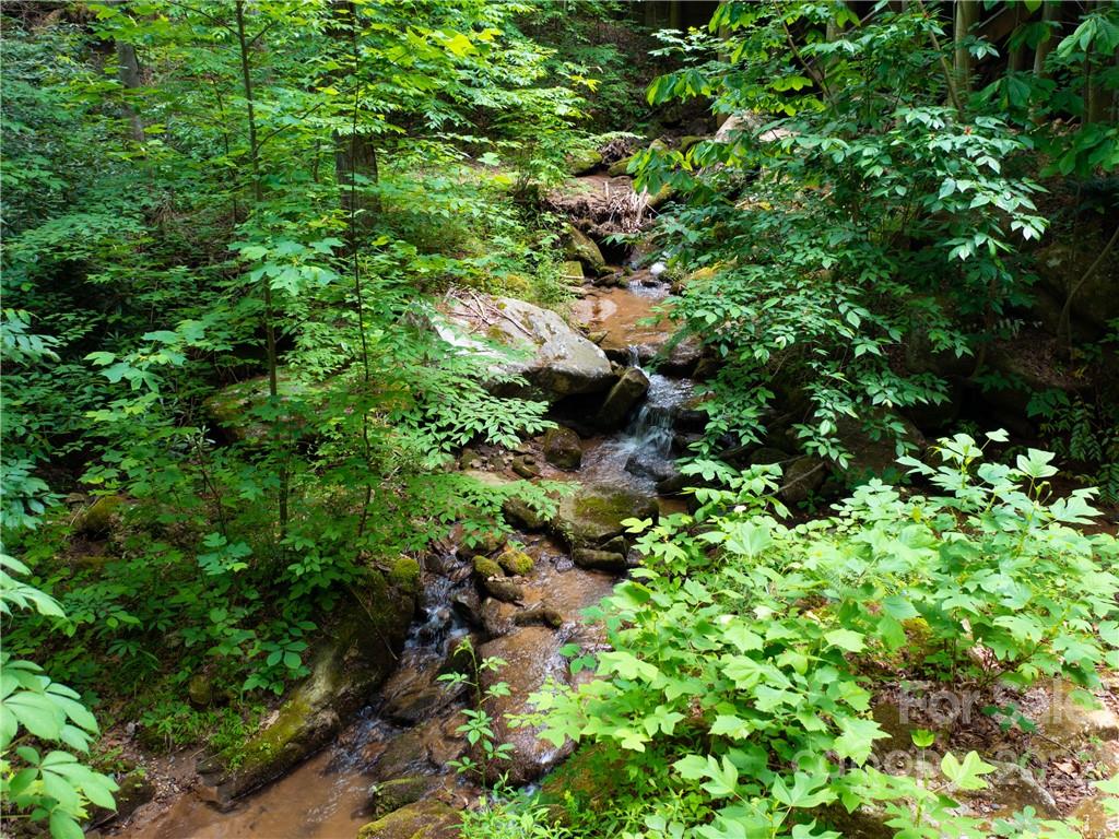 Brights Creek - Land