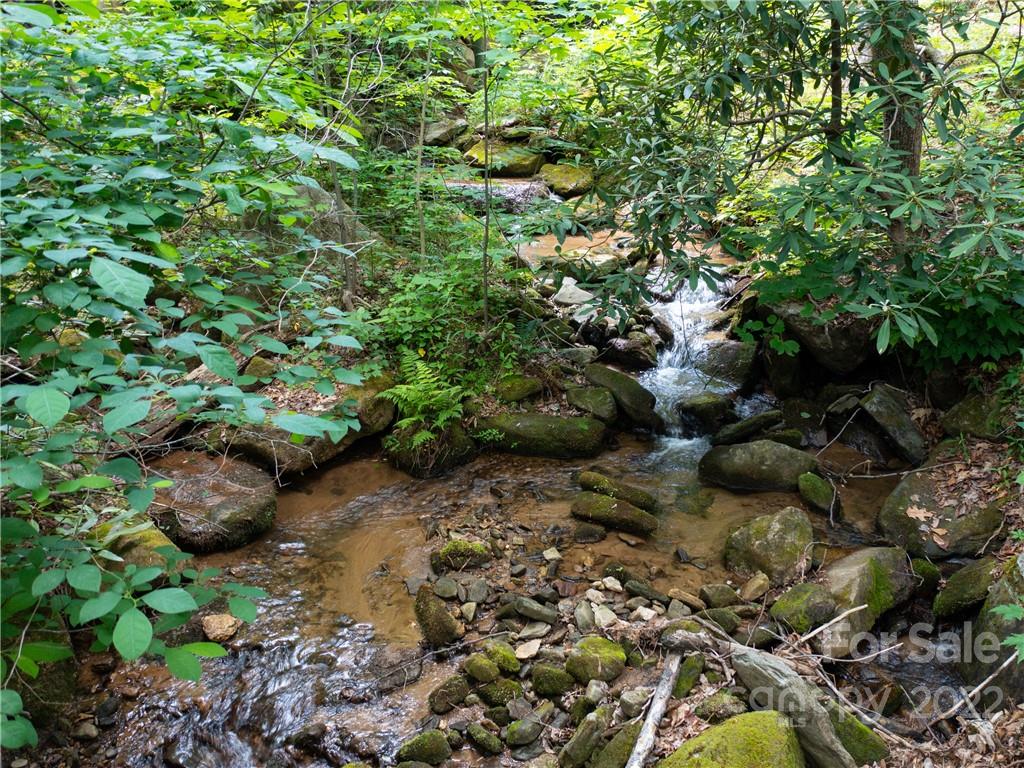 Brights Creek - Land