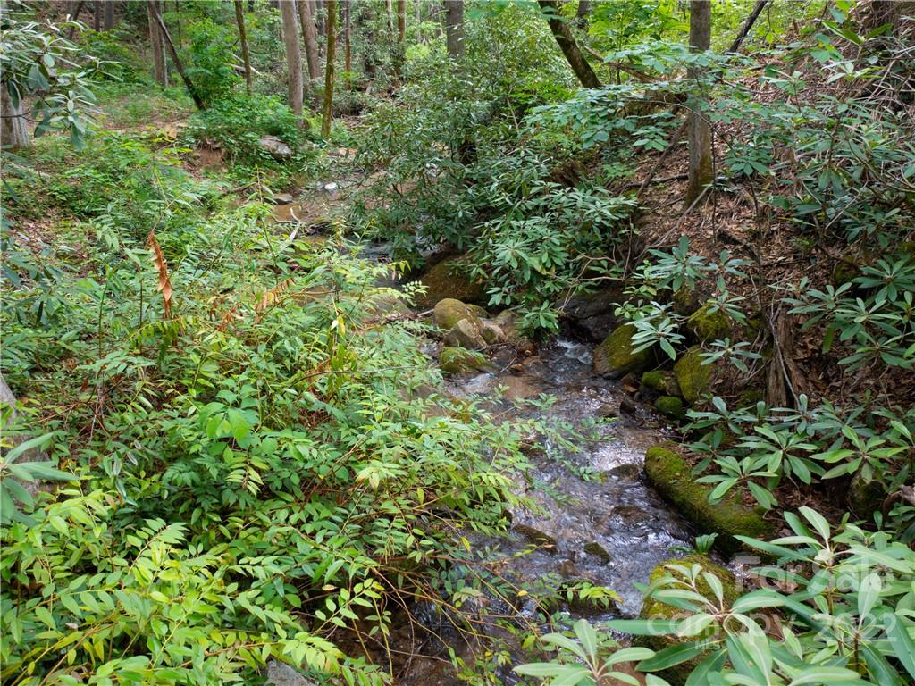 Brights Creek - Land