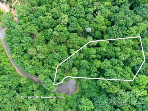 LOT 2072 Anthony Court Mill Spring NC 28756