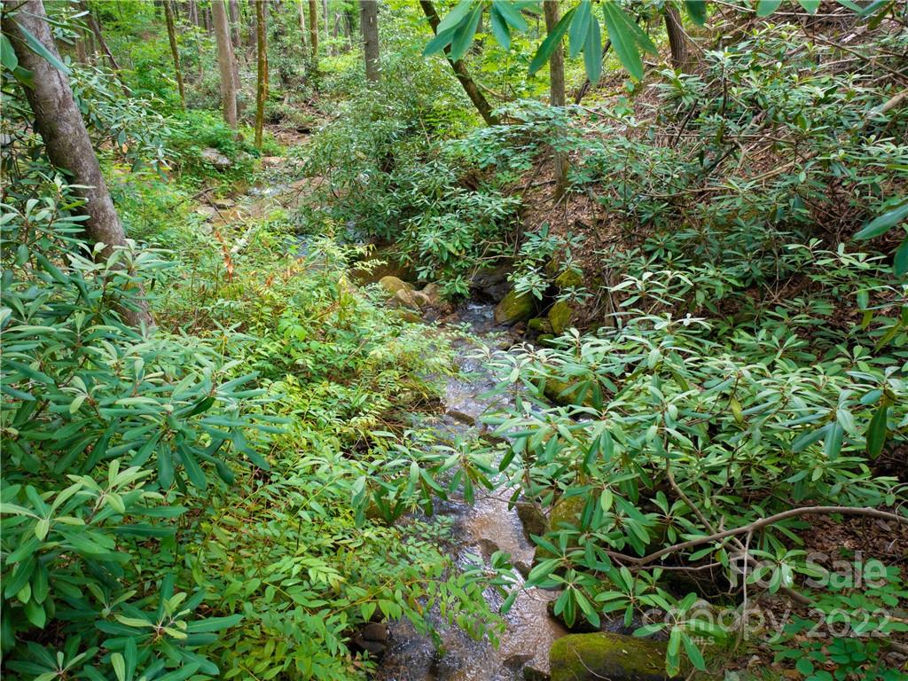 Brights Creek - Land