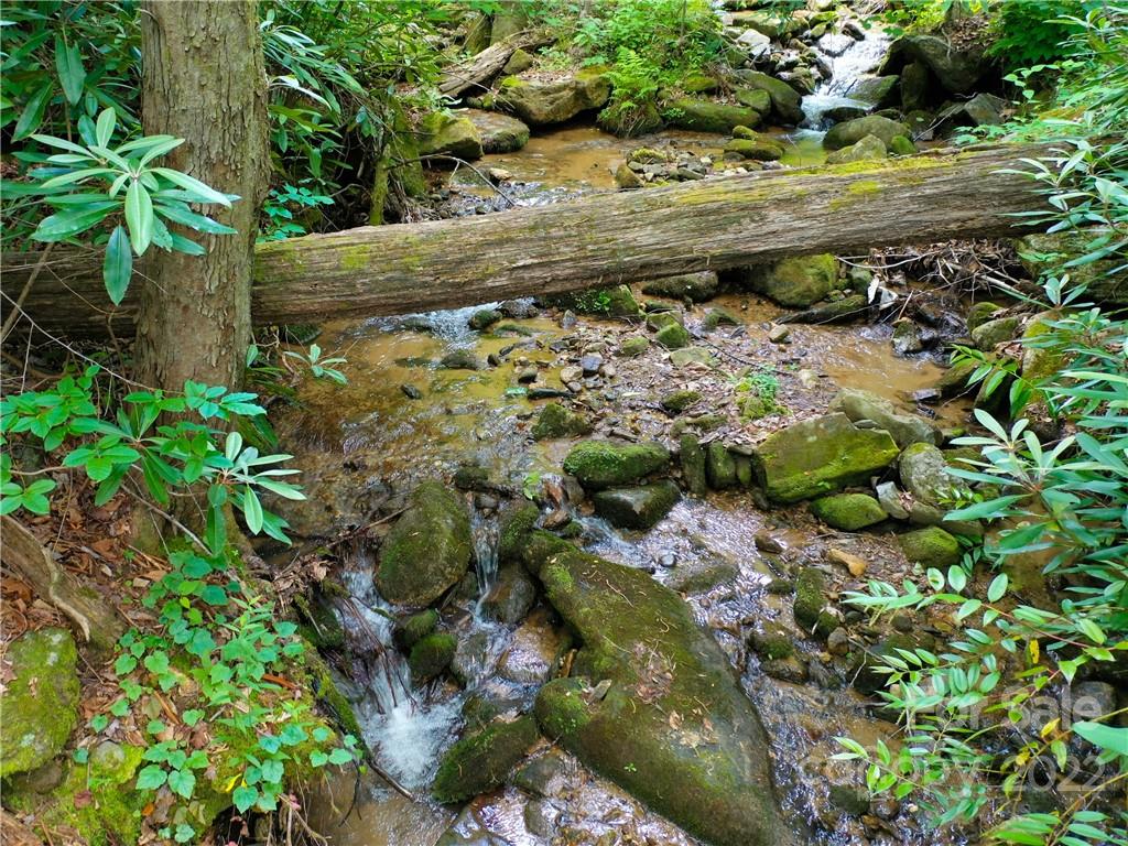 Brights Creek - Land