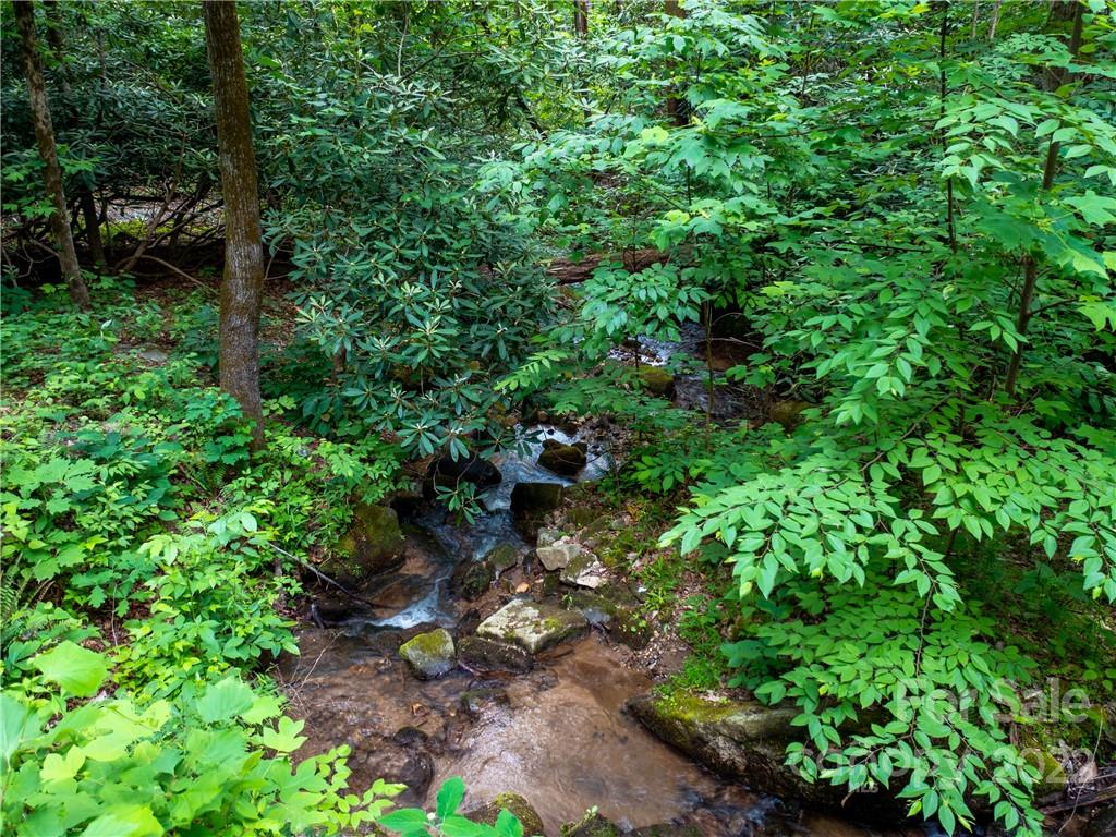 Brights Creek - Land