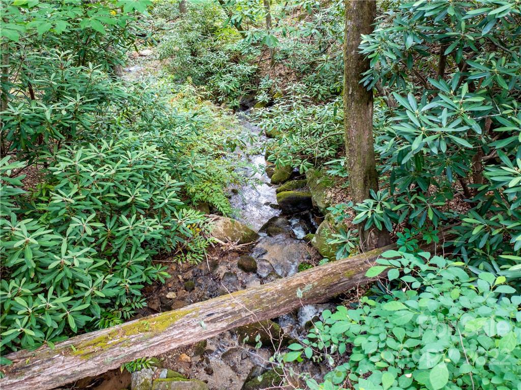 Brights Creek - Land