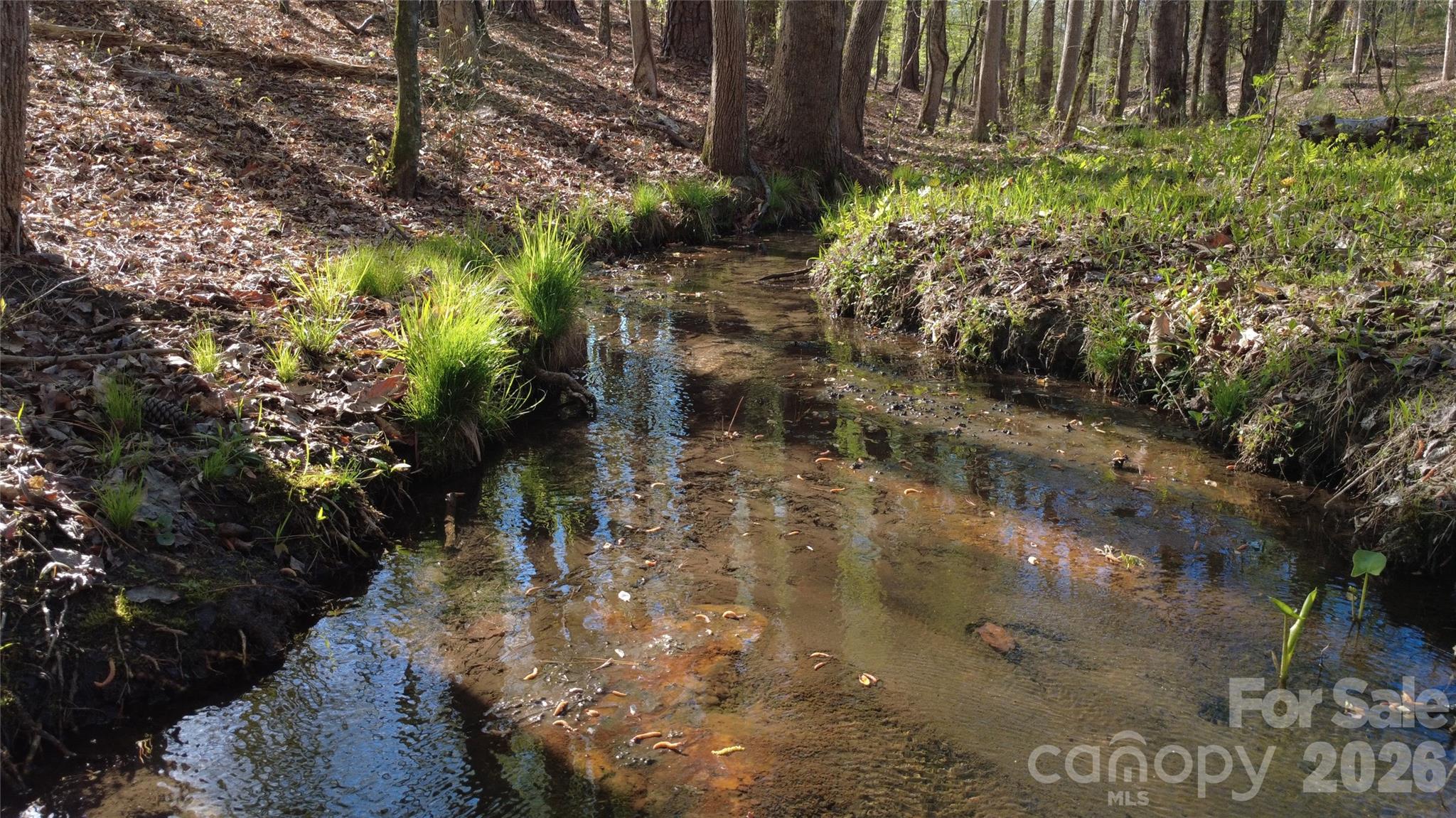 00 Peter Hawk Creek Road 11