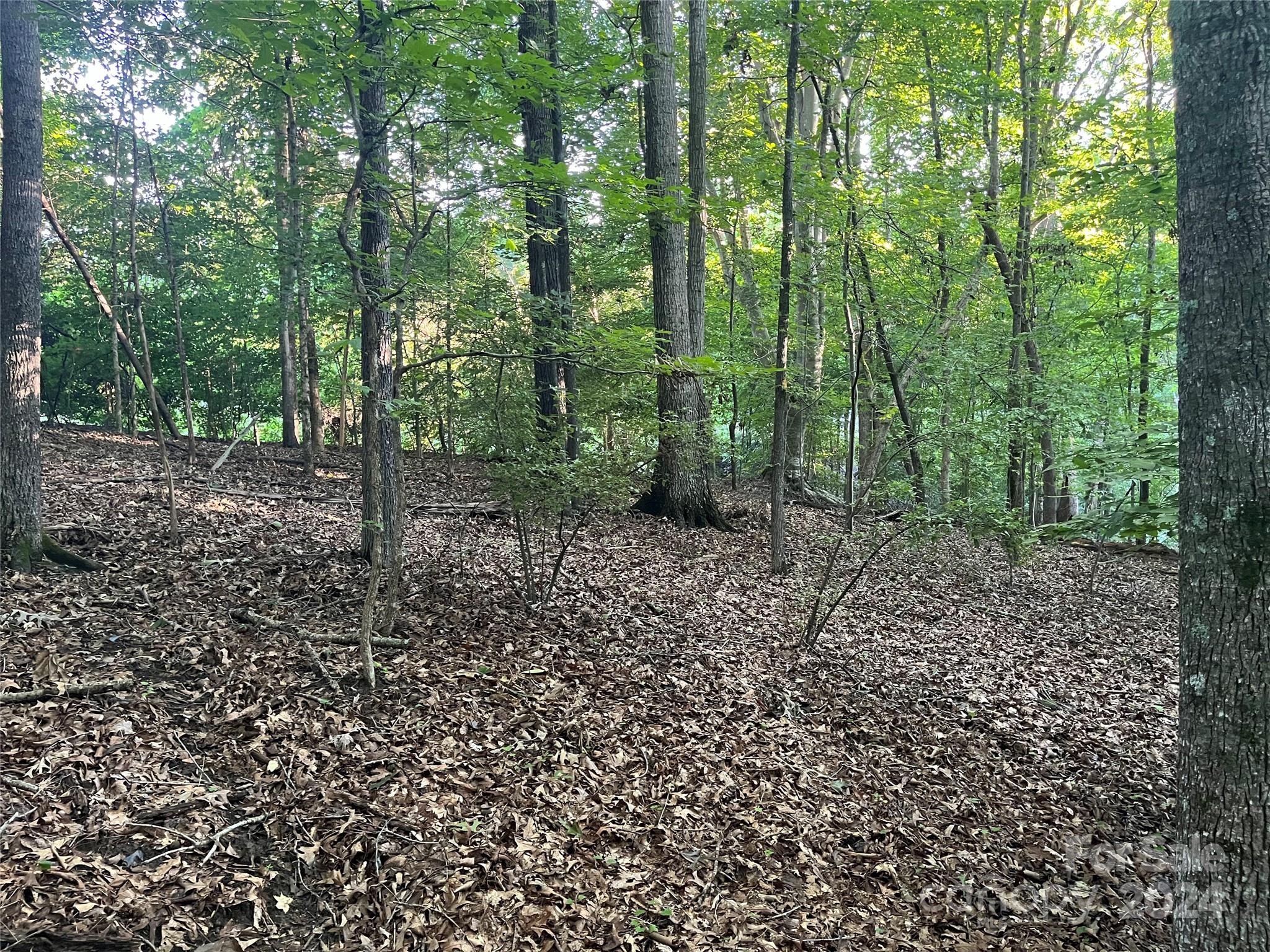 Whiteville Park - Land