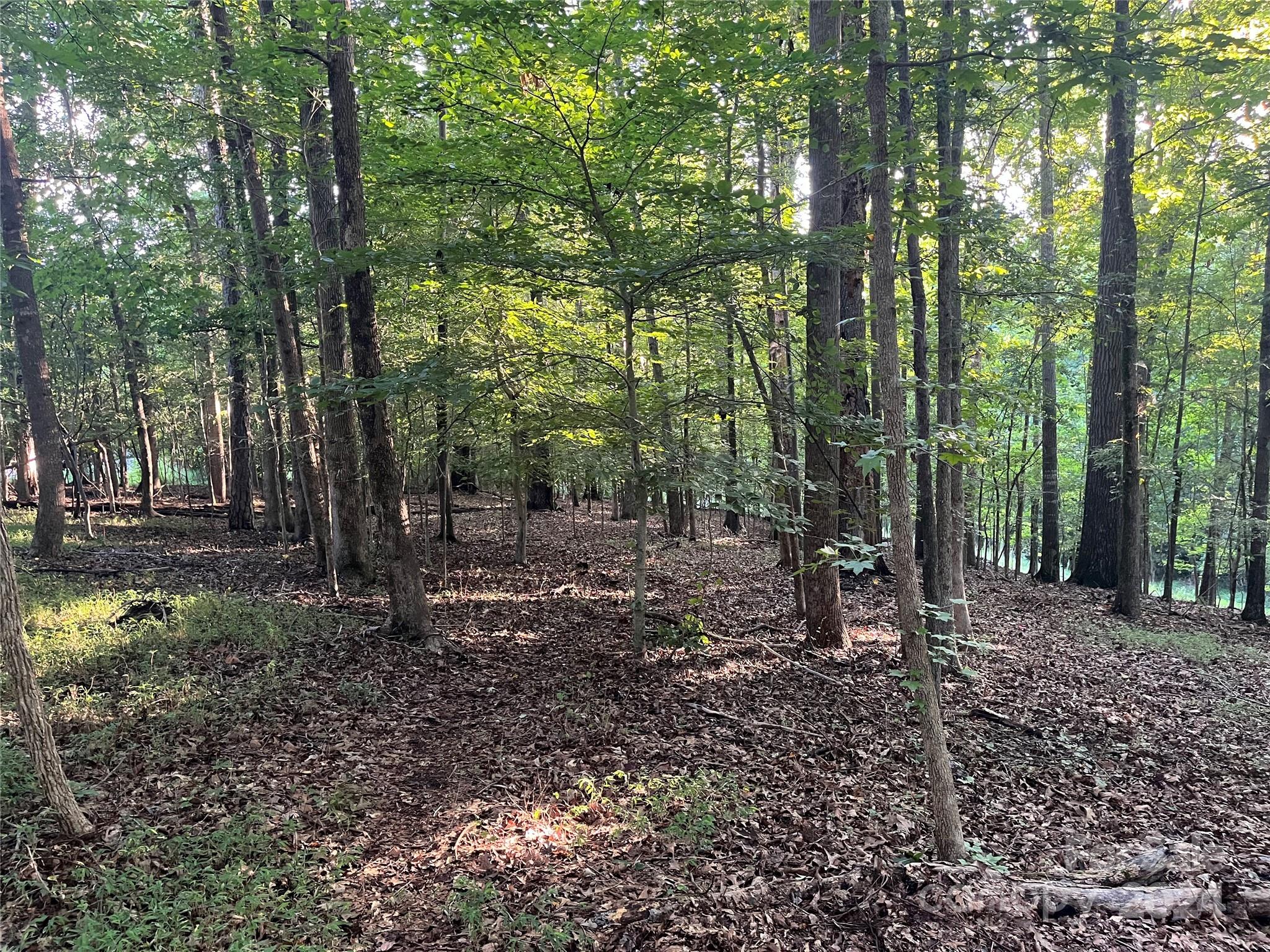 Whiteville Park - Land