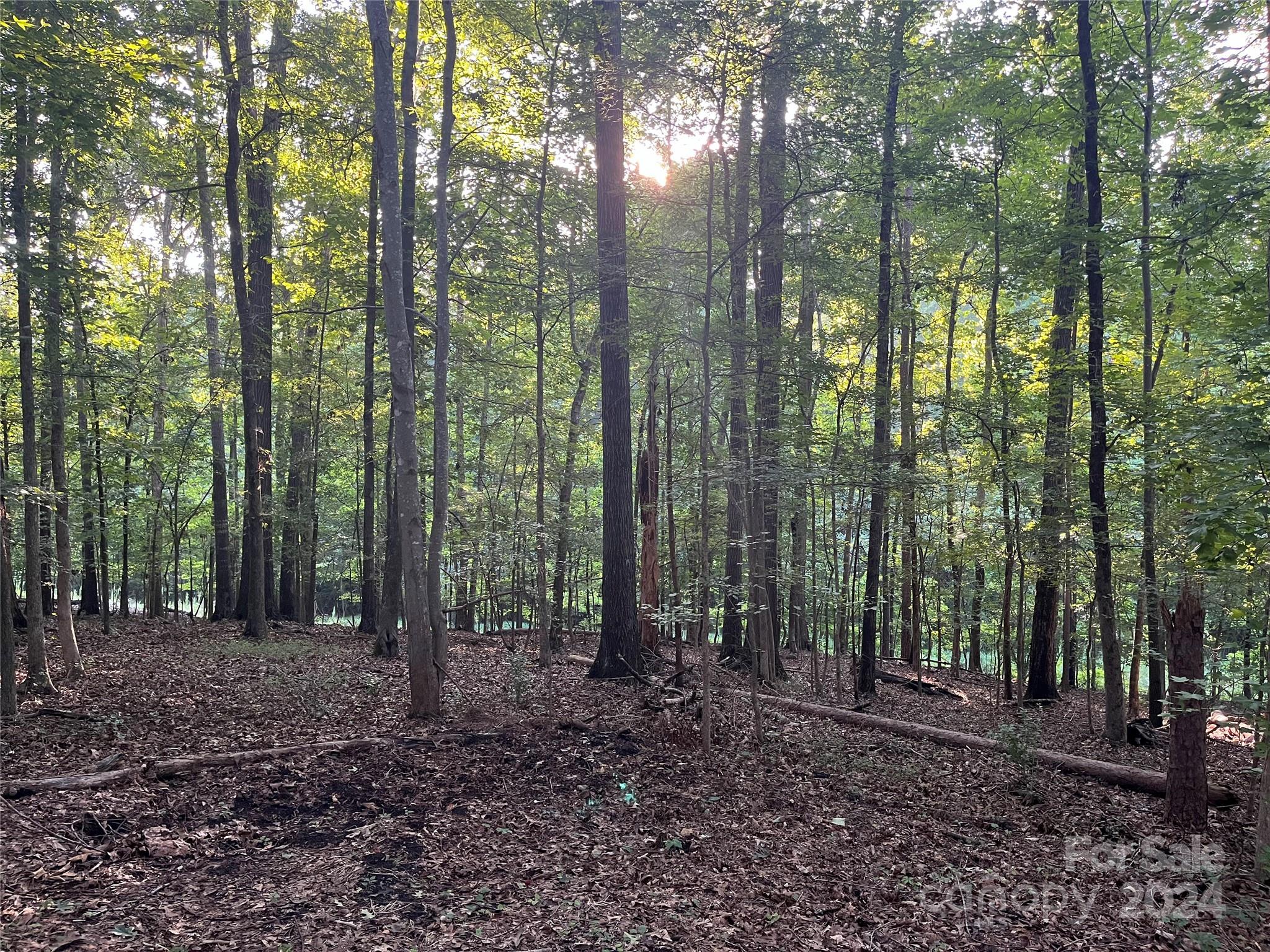 Whiteville Park - Land