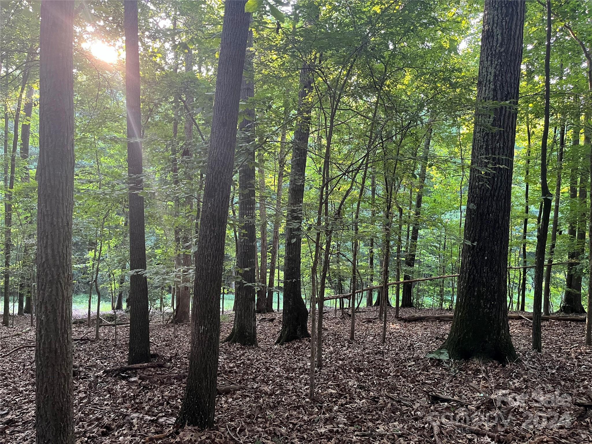 Whiteville Park - Land