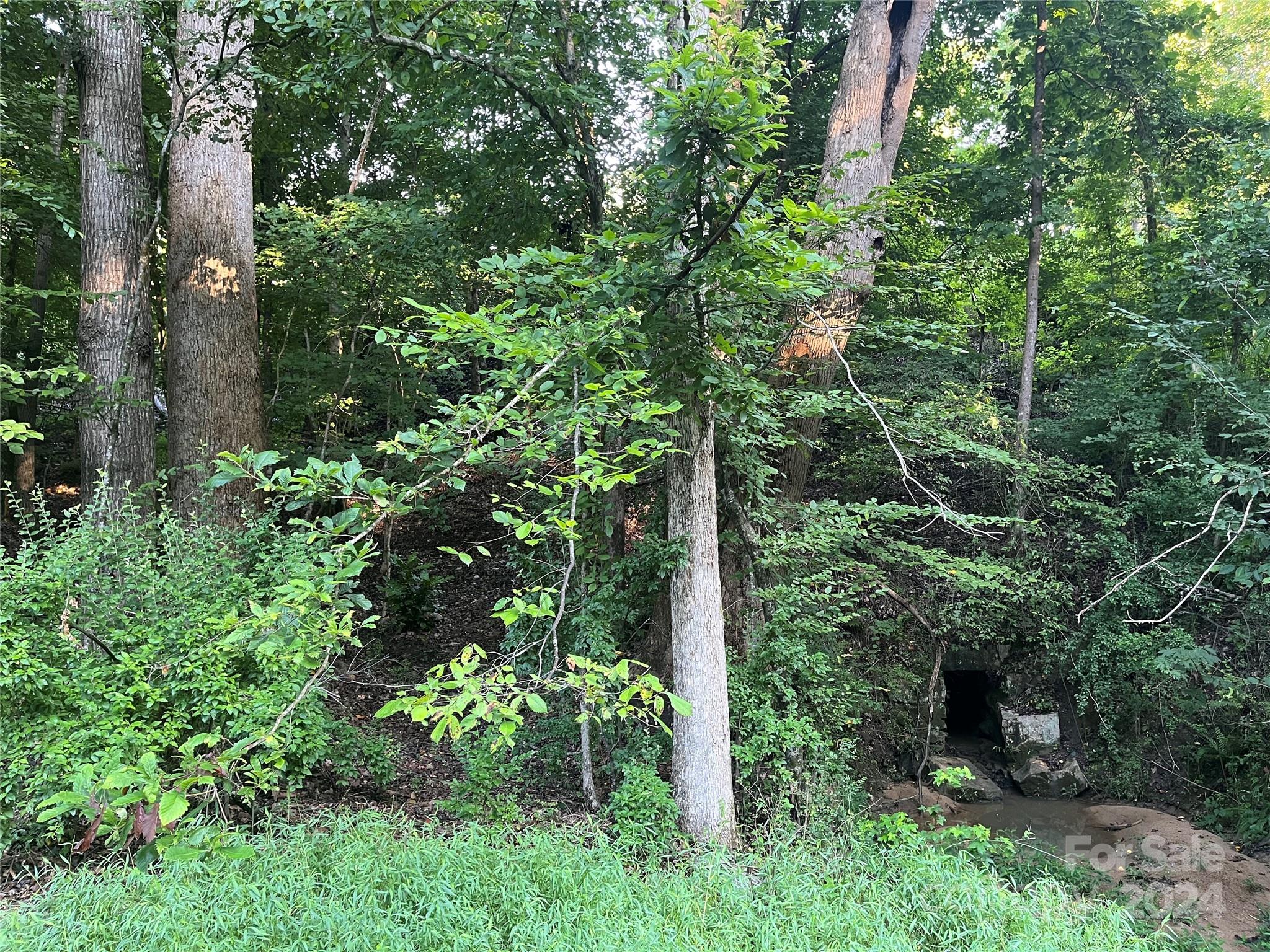 Whiteville Park - Land