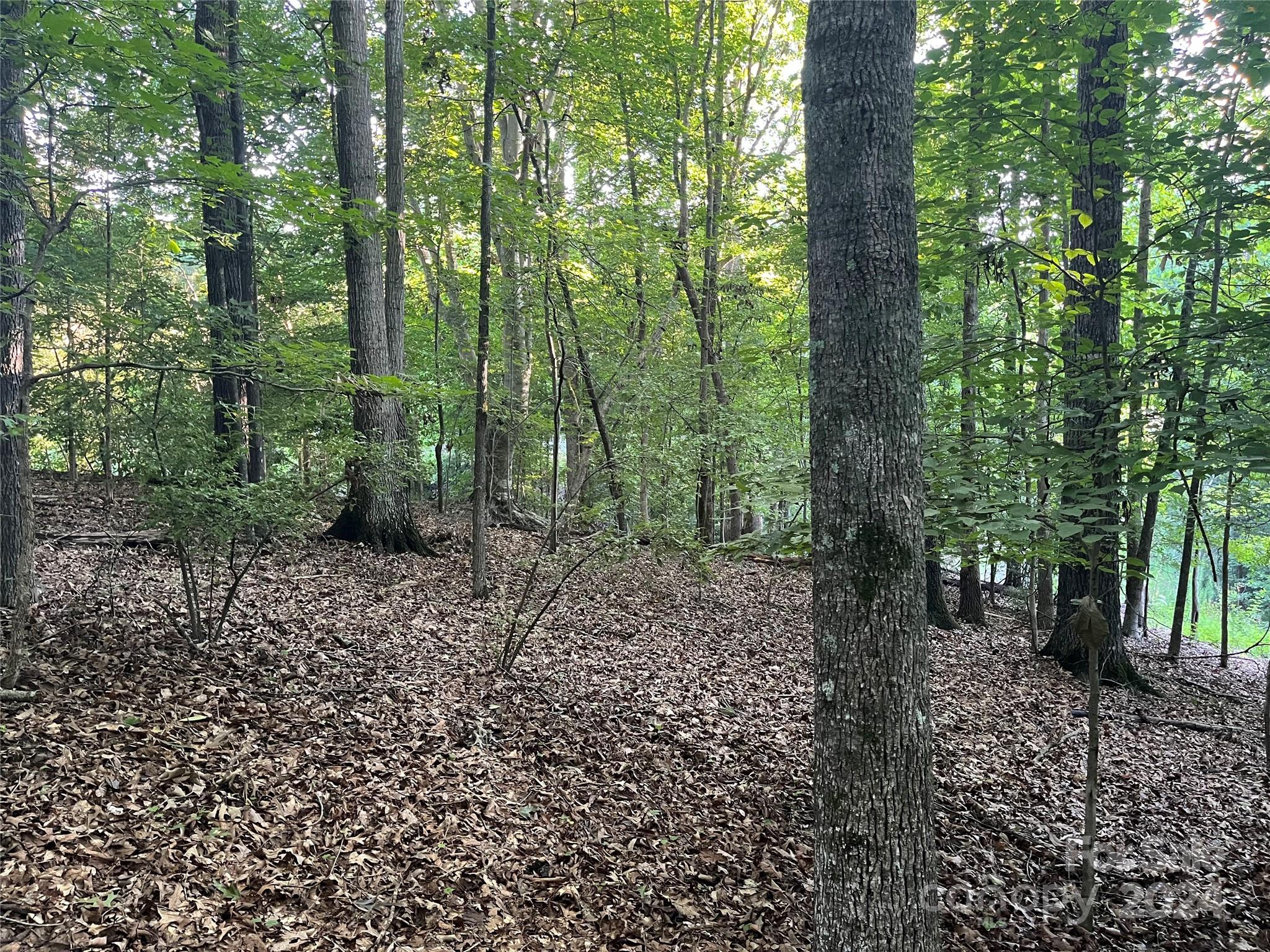 Whiteville Park - Land