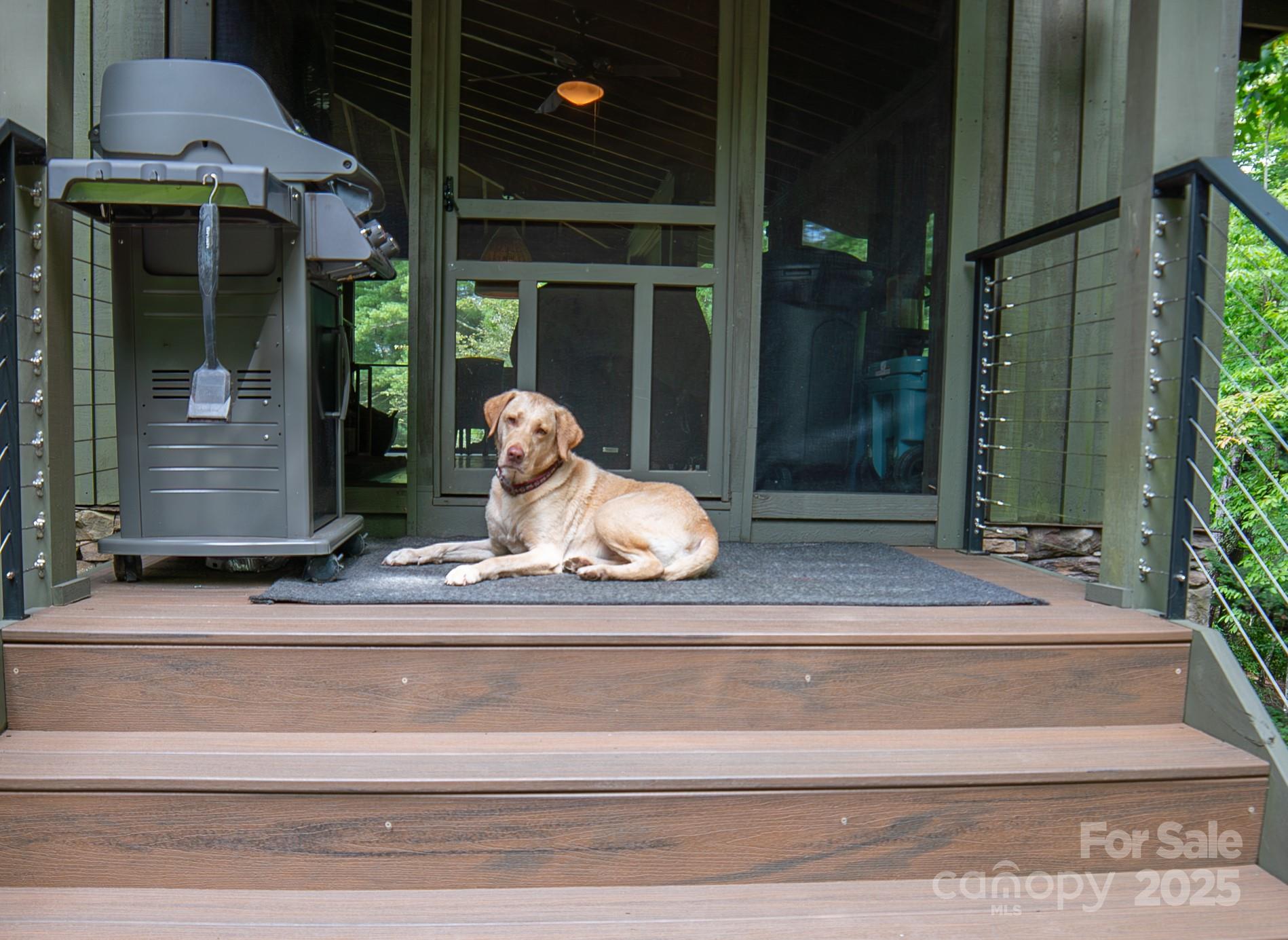 Black Forest - Residential