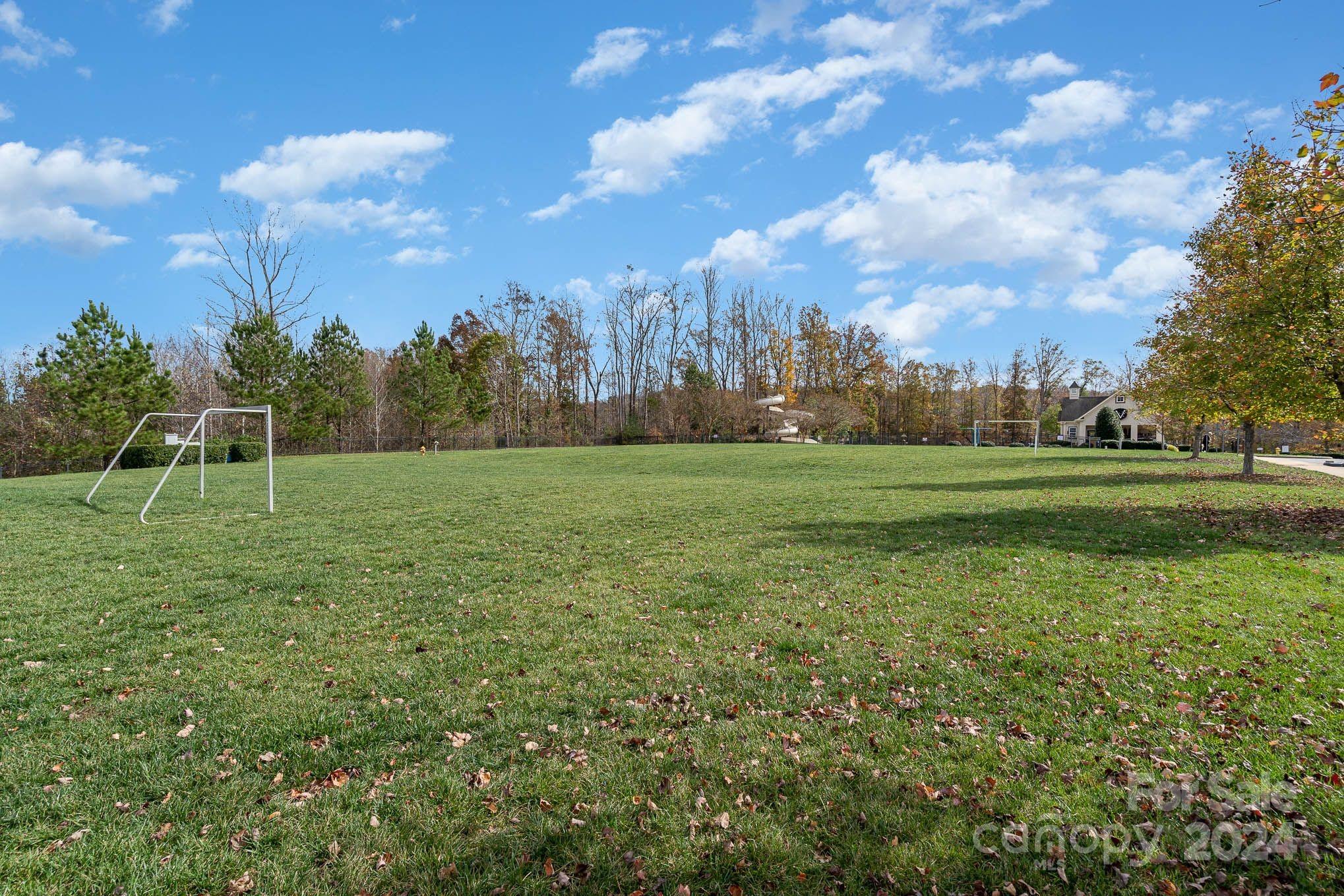 The Vineyards on Lake Wylie - Residential