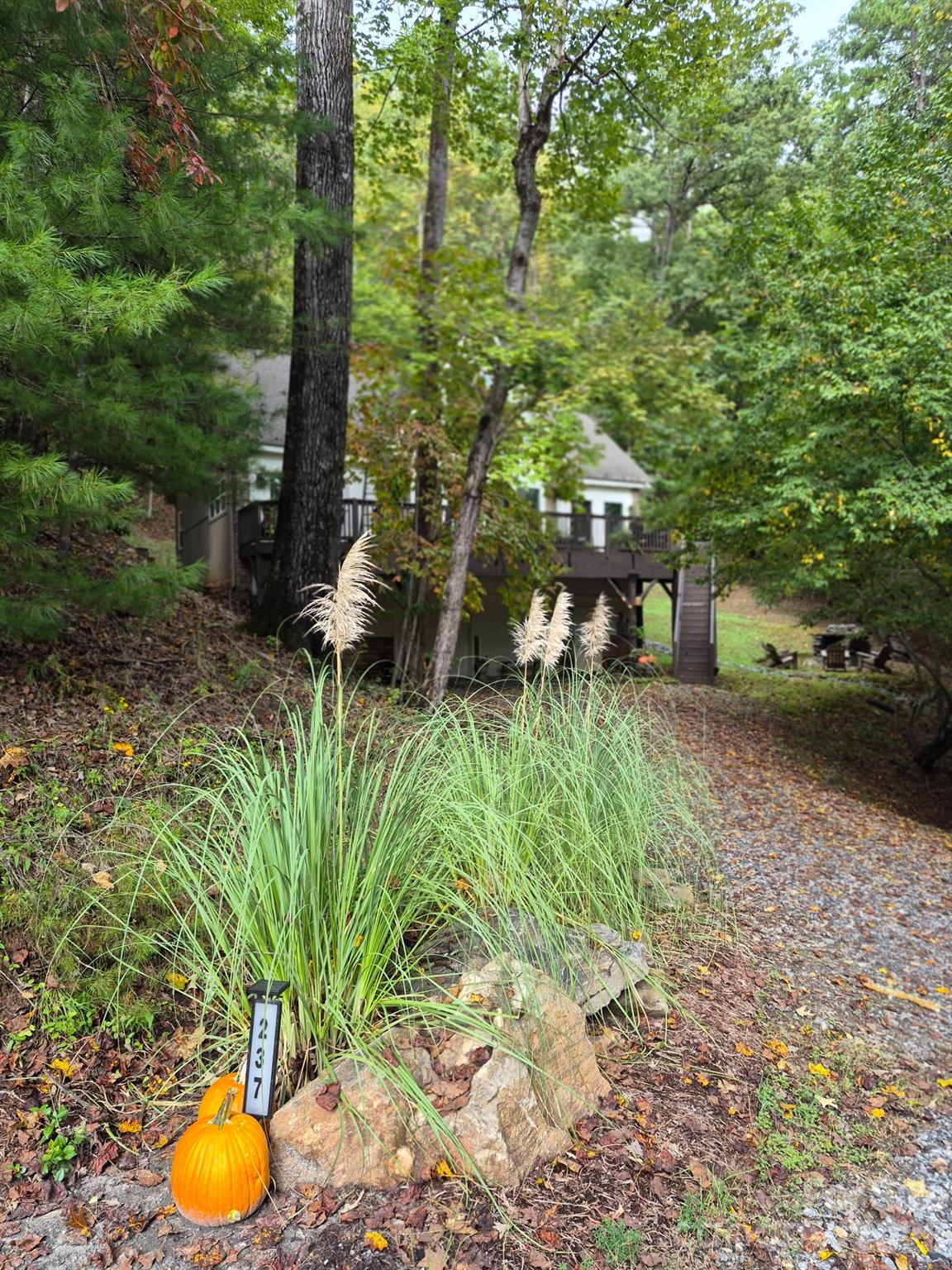 237 Mallard Road