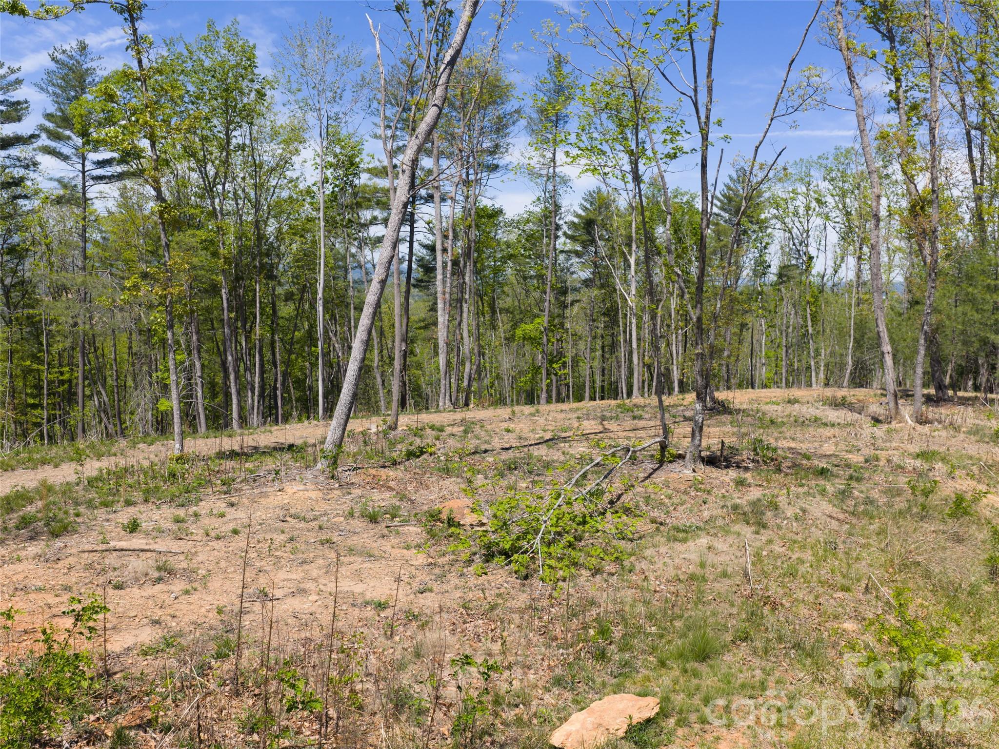 Ramble Biltmore Forest - Land
