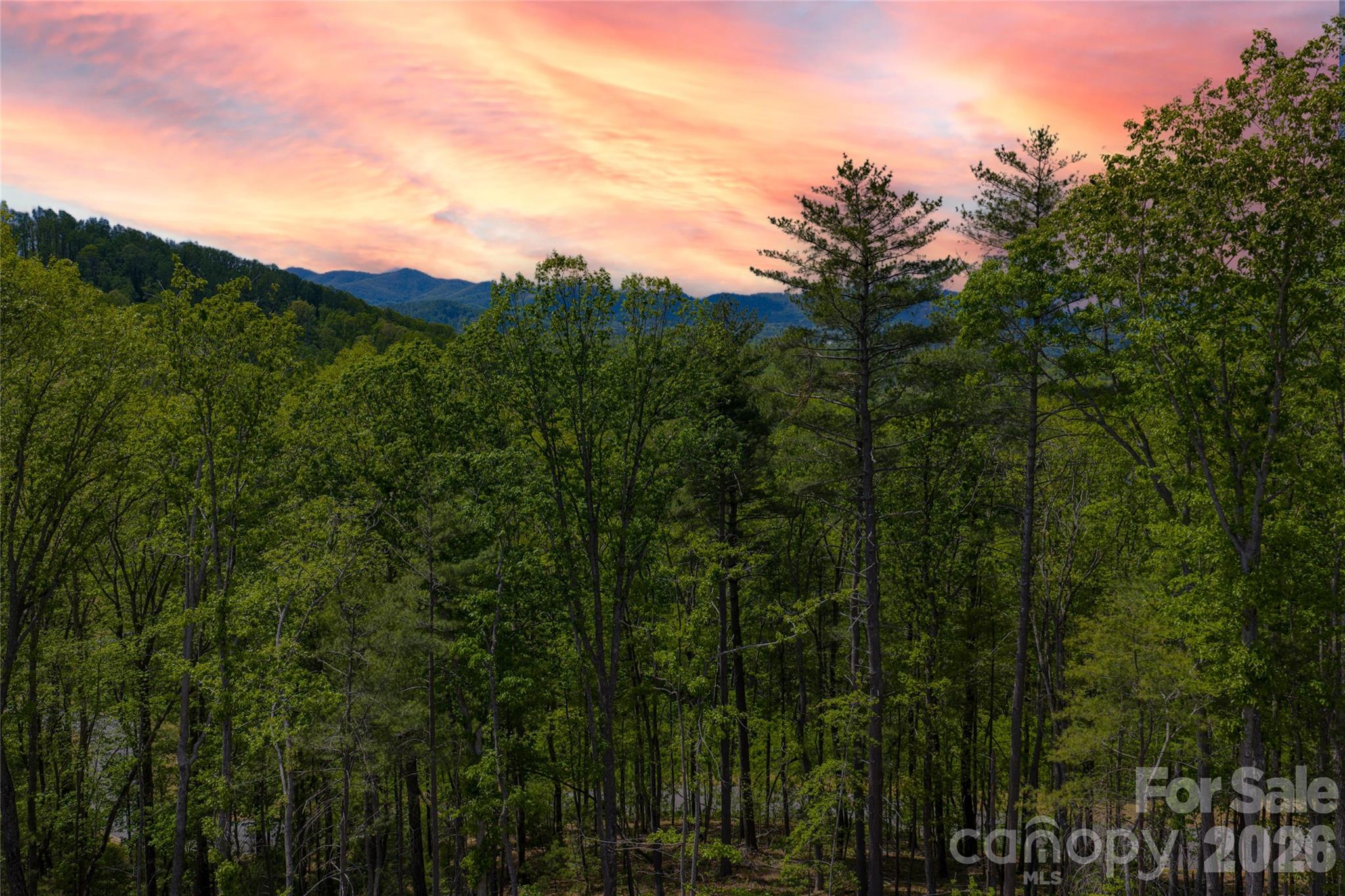 Ramble Biltmore Forest - Land