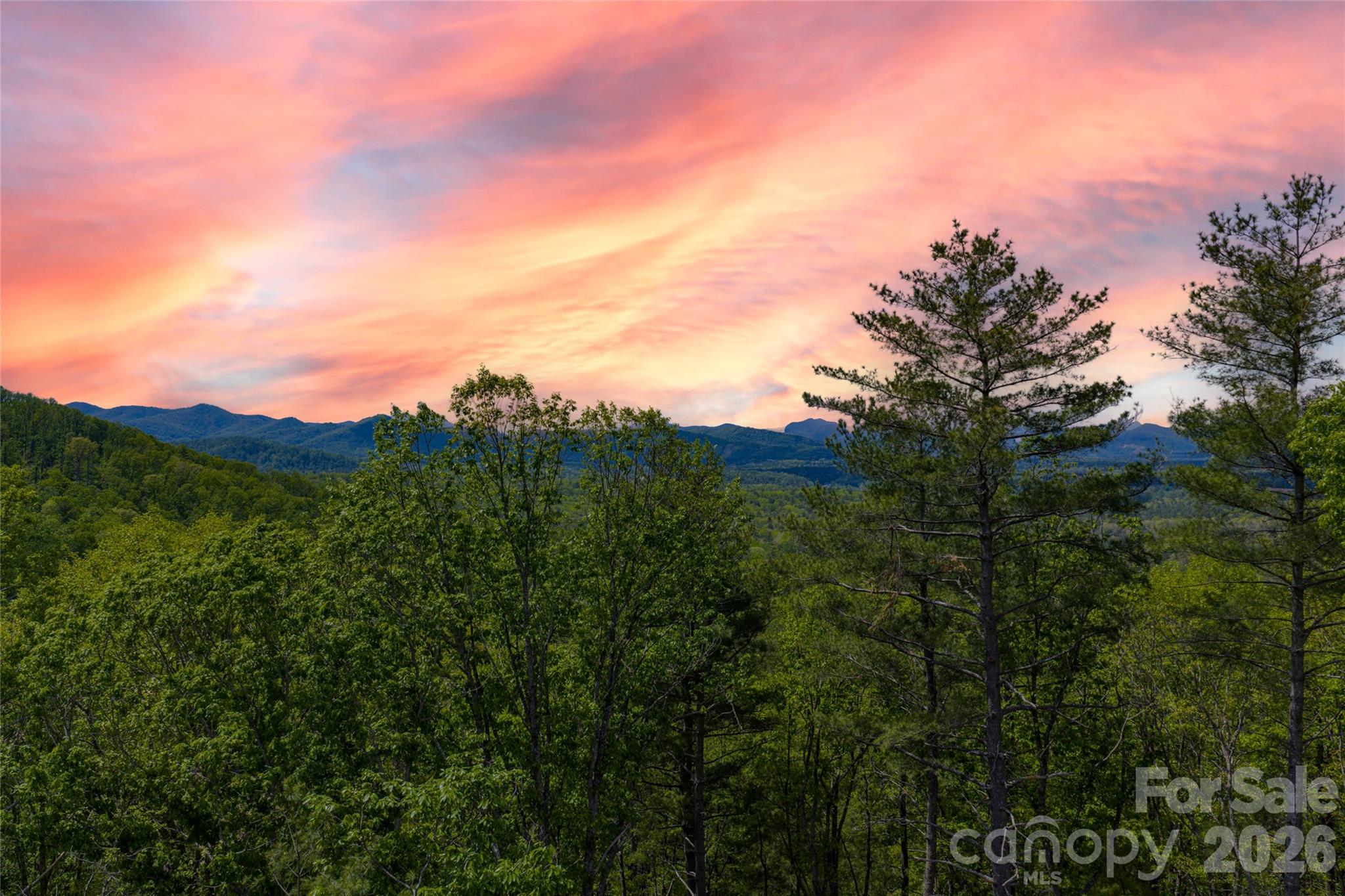 Ramble Biltmore Forest - Land