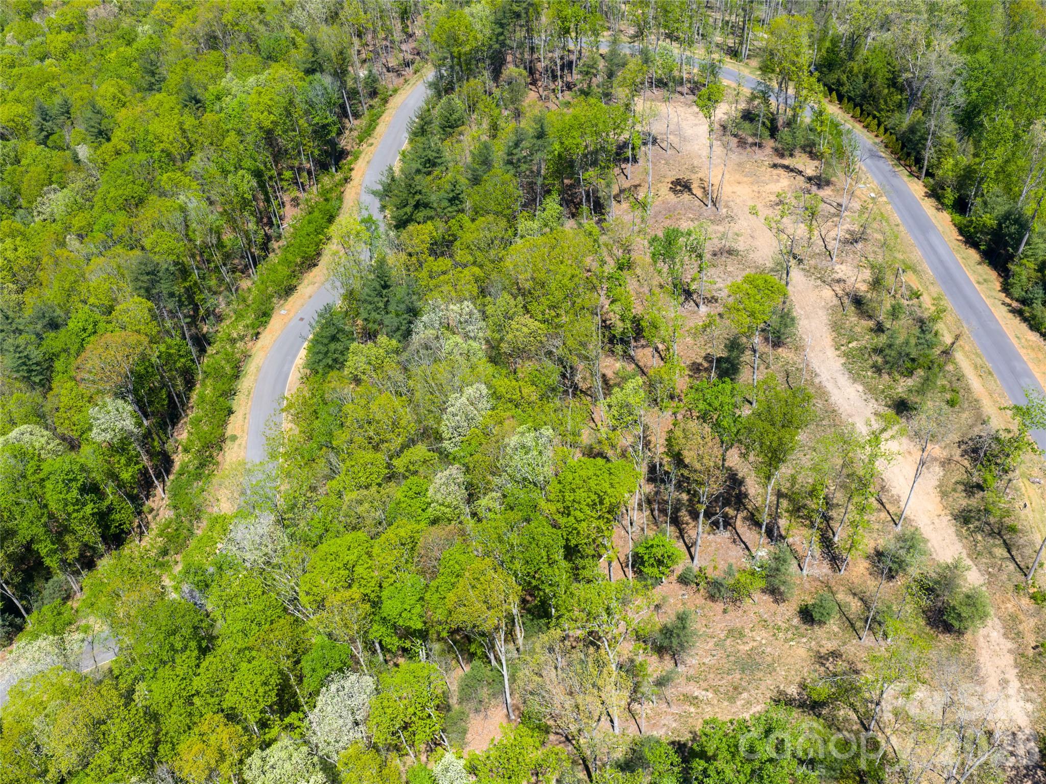 Ramble Biltmore Forest - Land