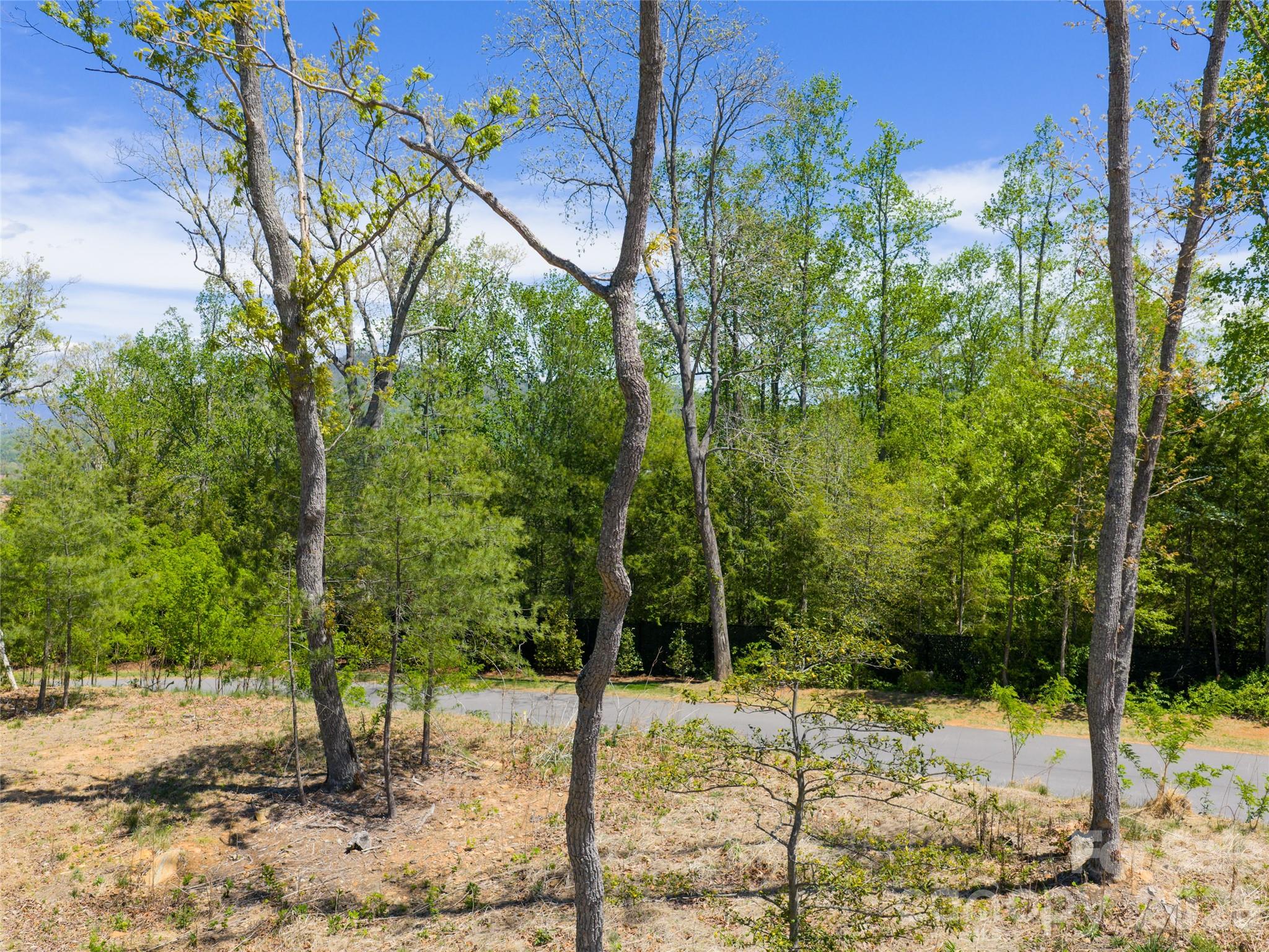 Ramble Biltmore Forest - Land