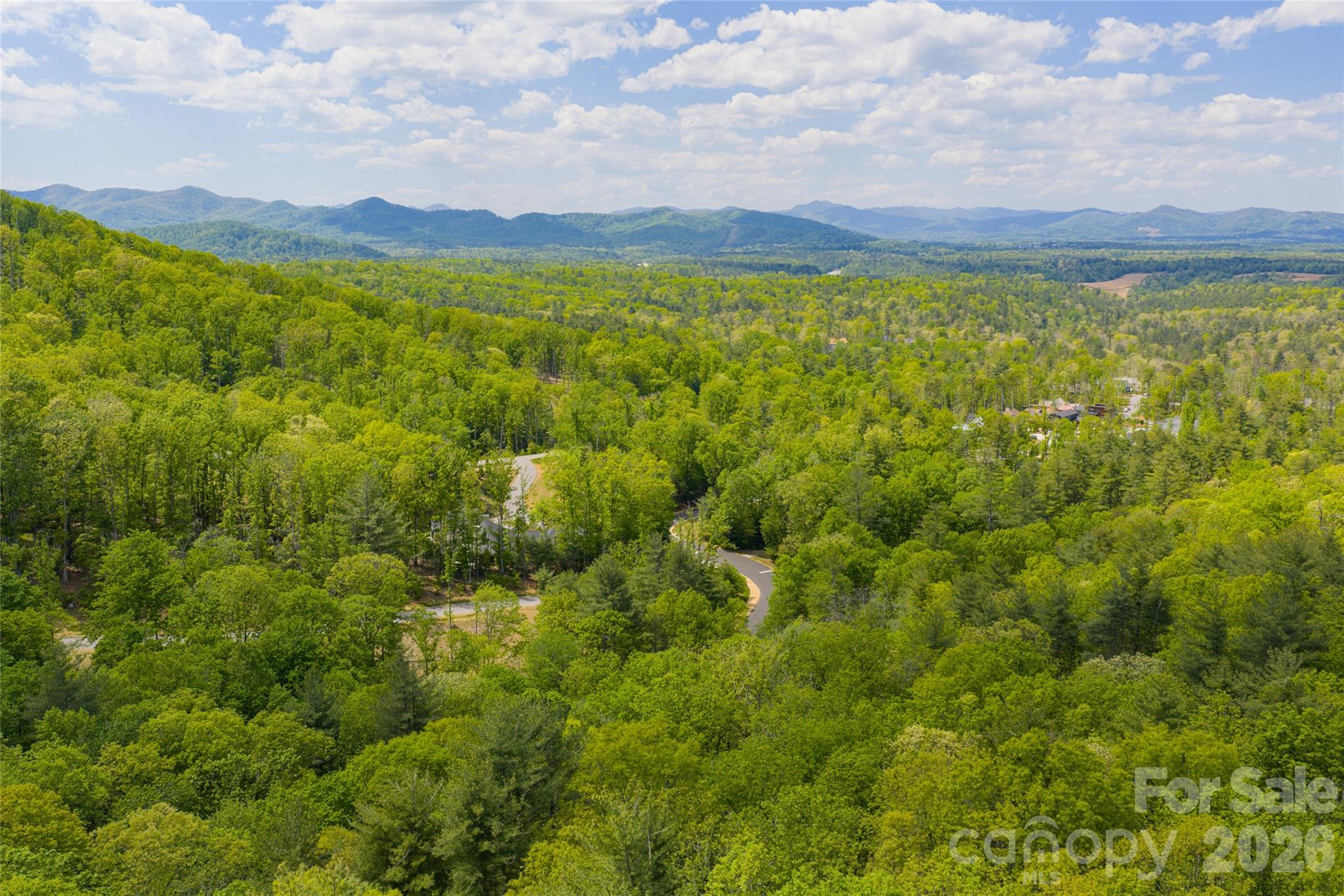 Ramble Biltmore Forest - Land
