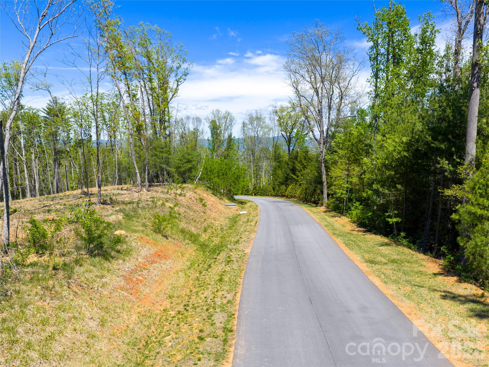 Ramble Biltmore Forest - Land