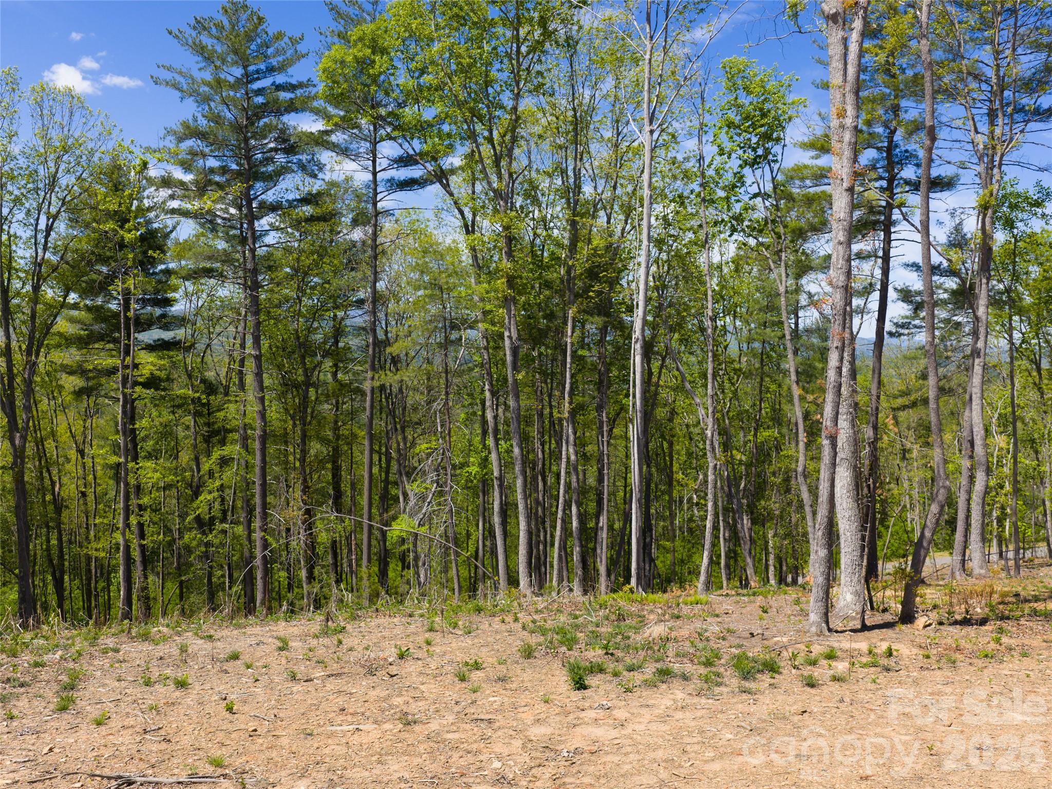 Ramble Biltmore Forest - Land