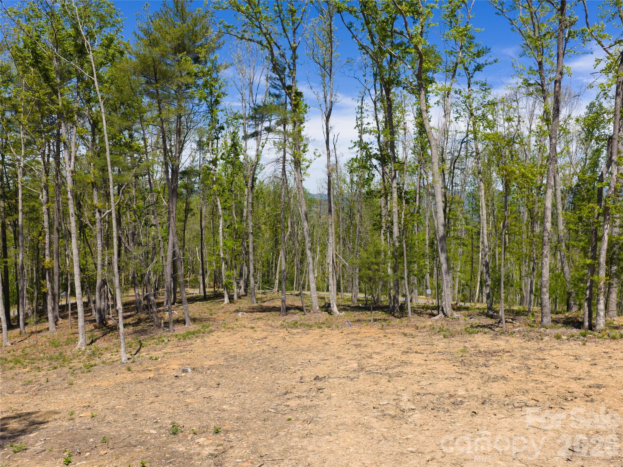 Ramble Biltmore Forest - Land