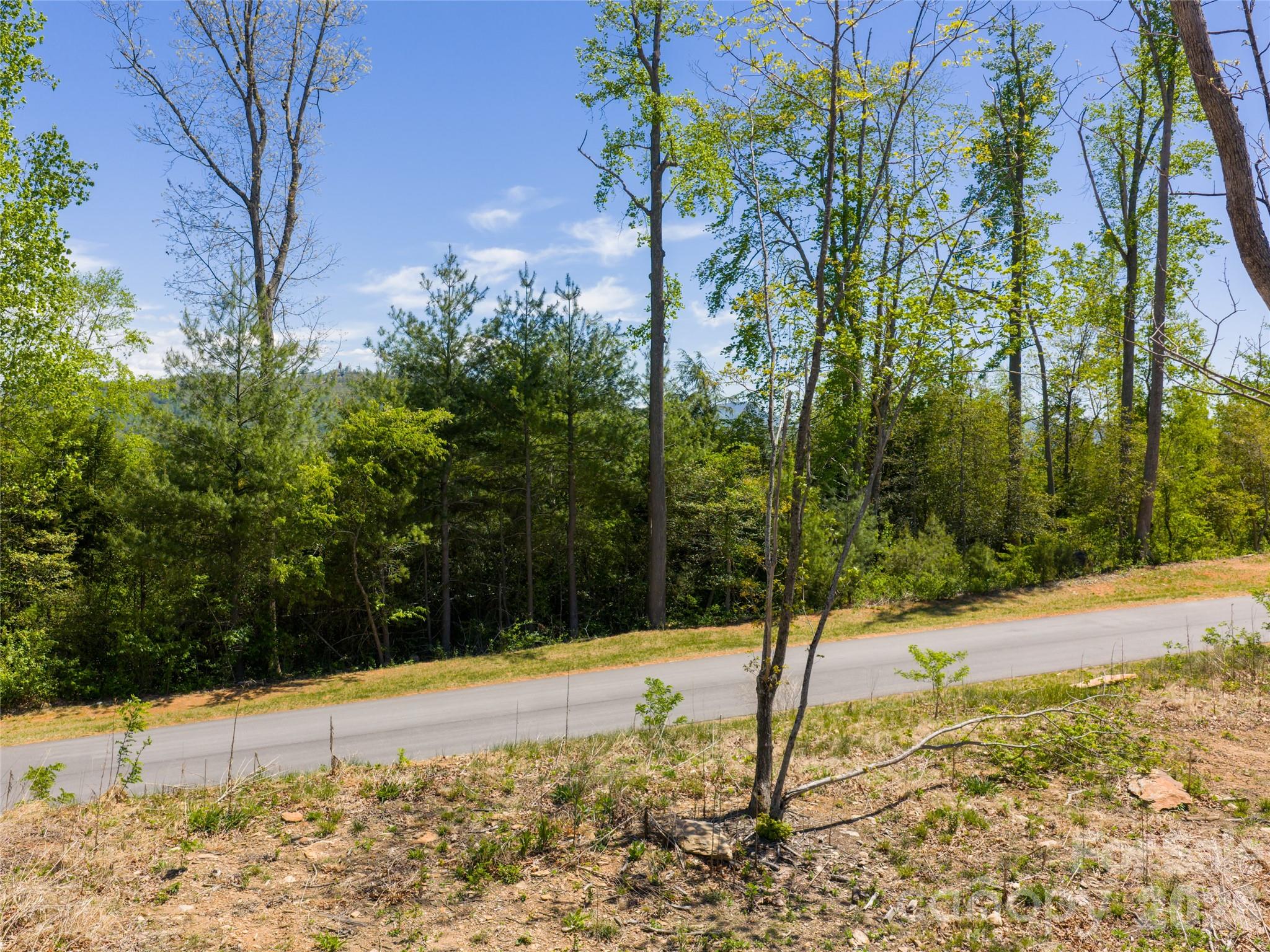 Ramble Biltmore Forest - Land