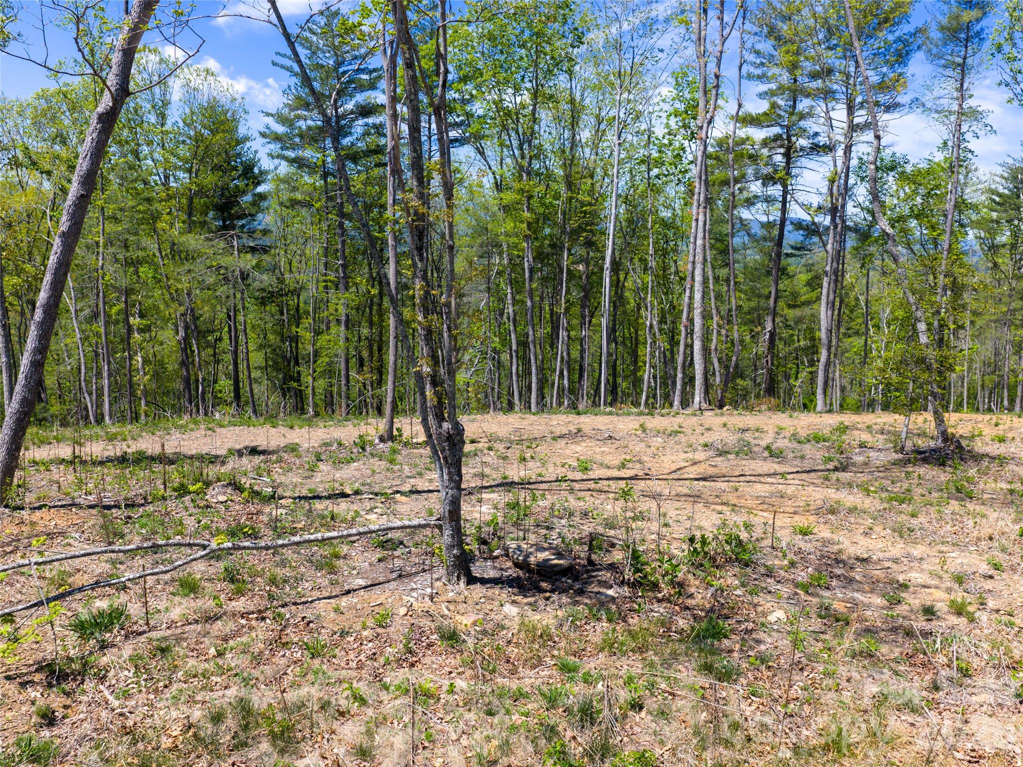 Ramble Biltmore Forest - Land