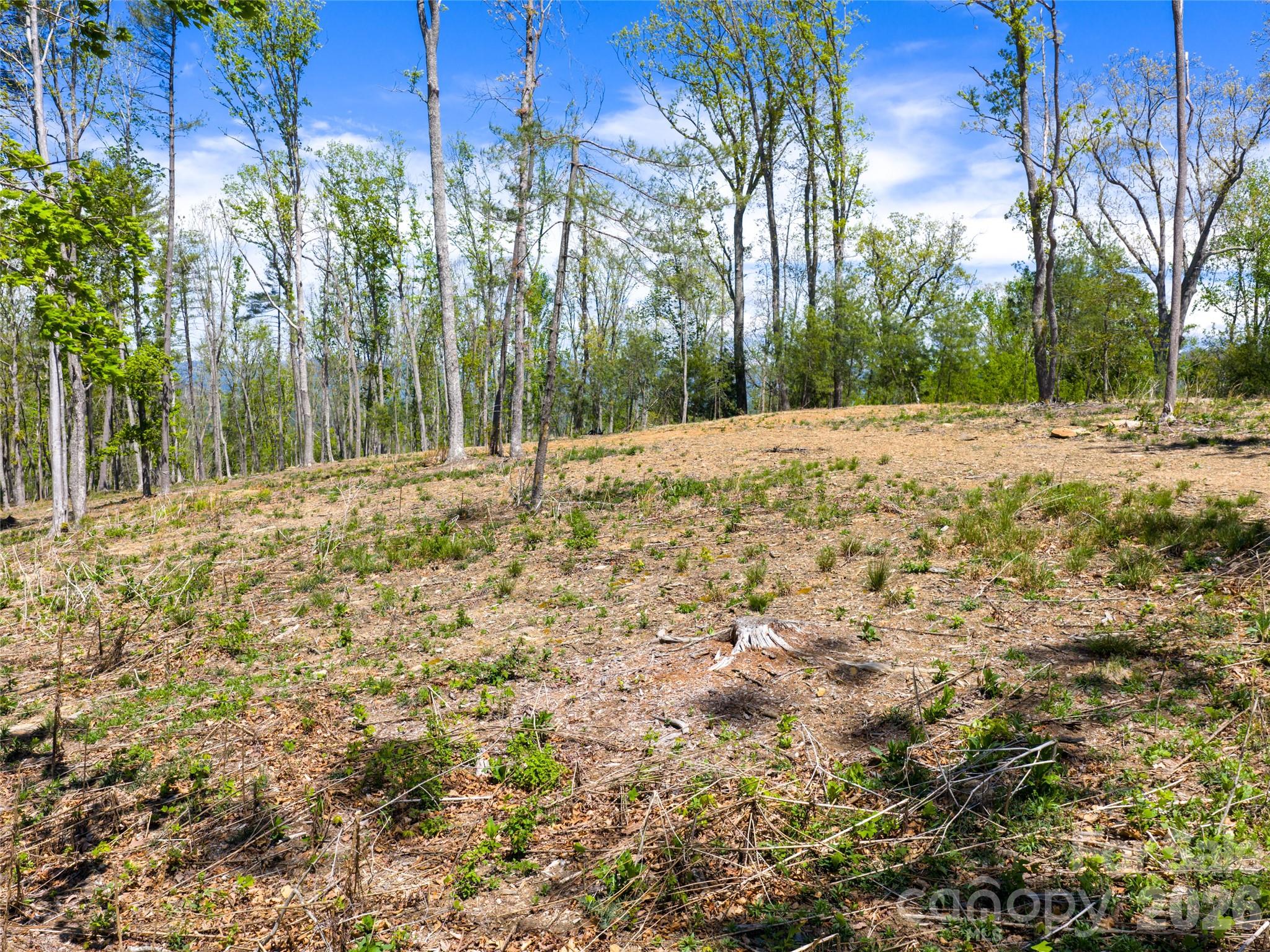 Ramble Biltmore Forest - Land