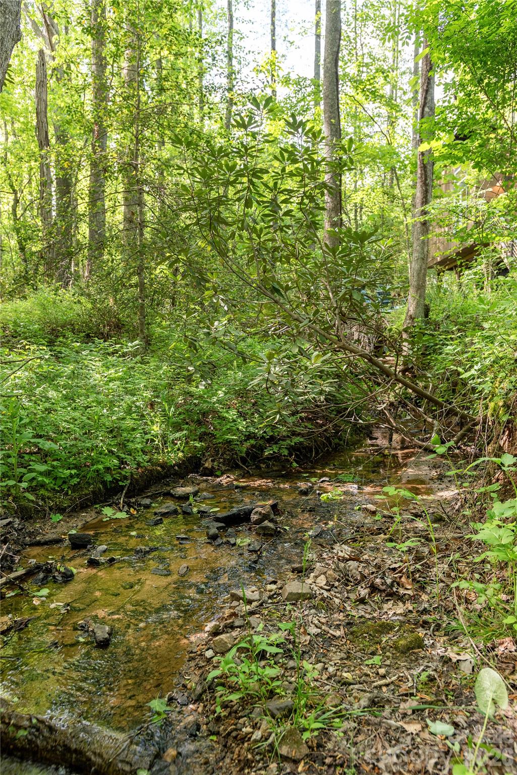 523 Stepp Road