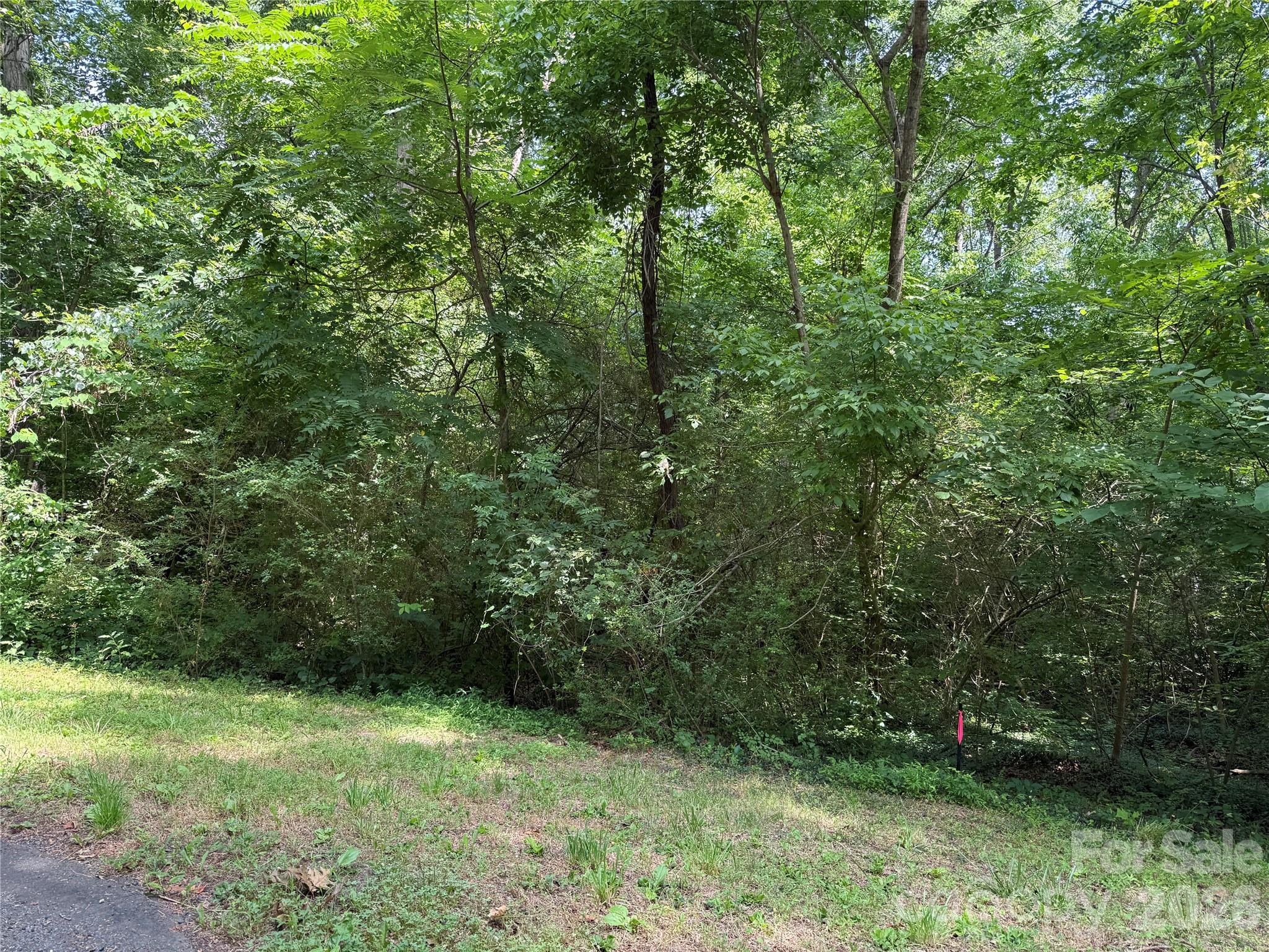 9562 Regent Drive