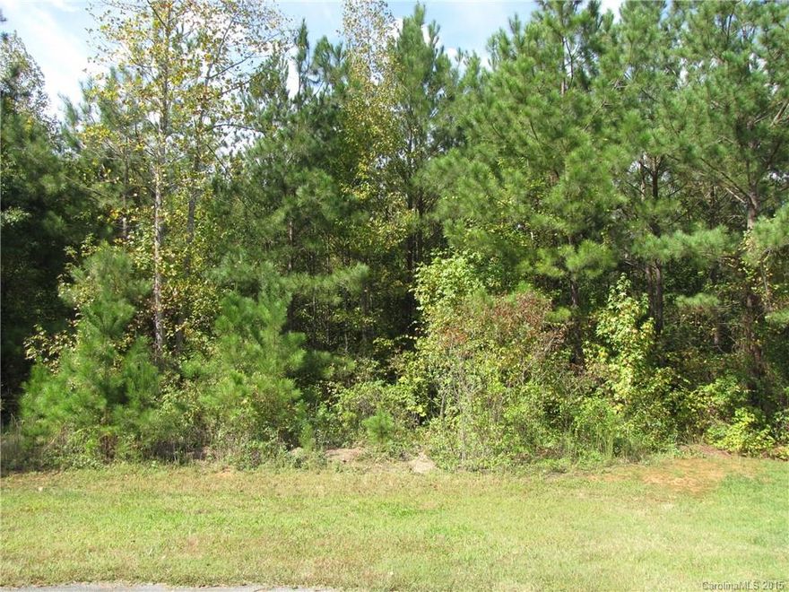 Cul-de-sac lot in quiet Rock Hill neighborhood of Holland Springs. Country feel but convenient to city. Large private lot.