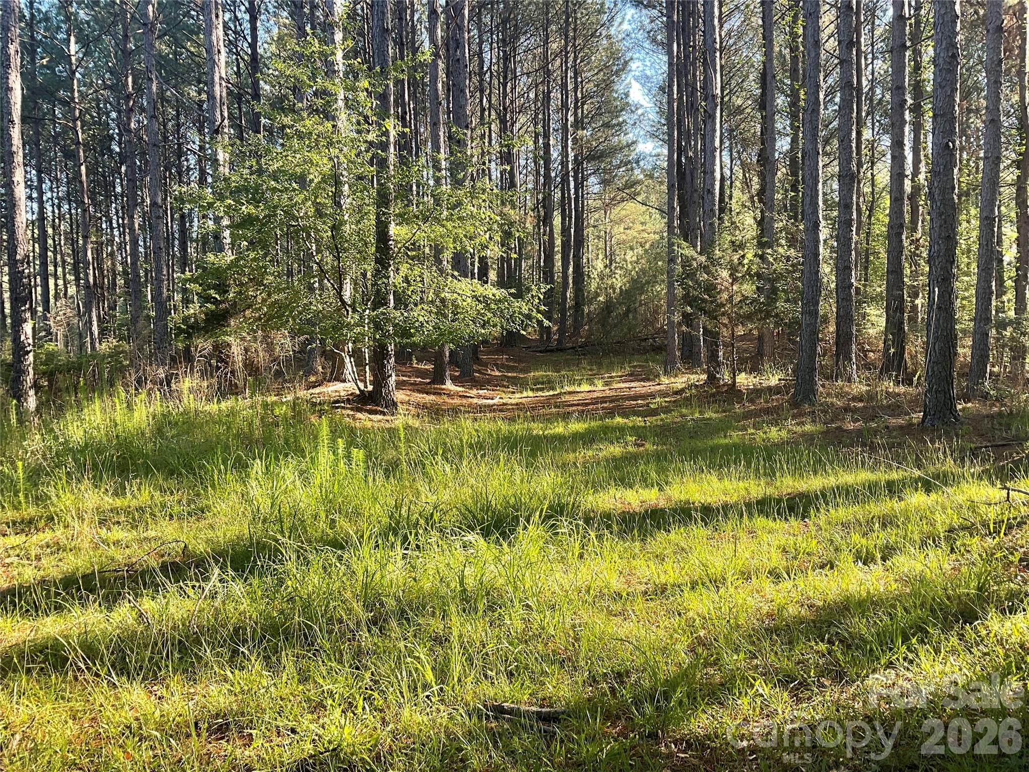 105 Whispering Pines Lane