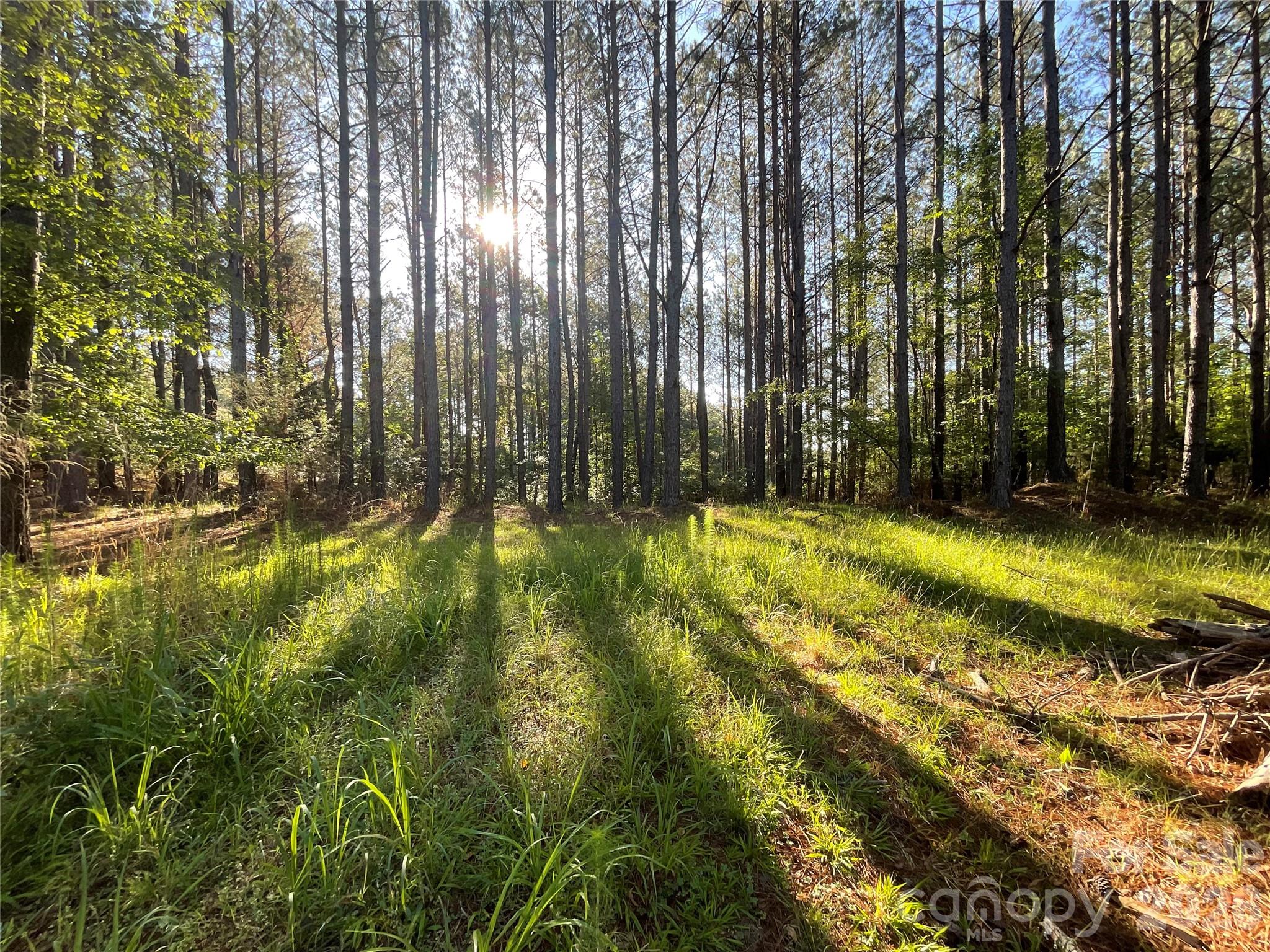 105 Whispering Pines Lane