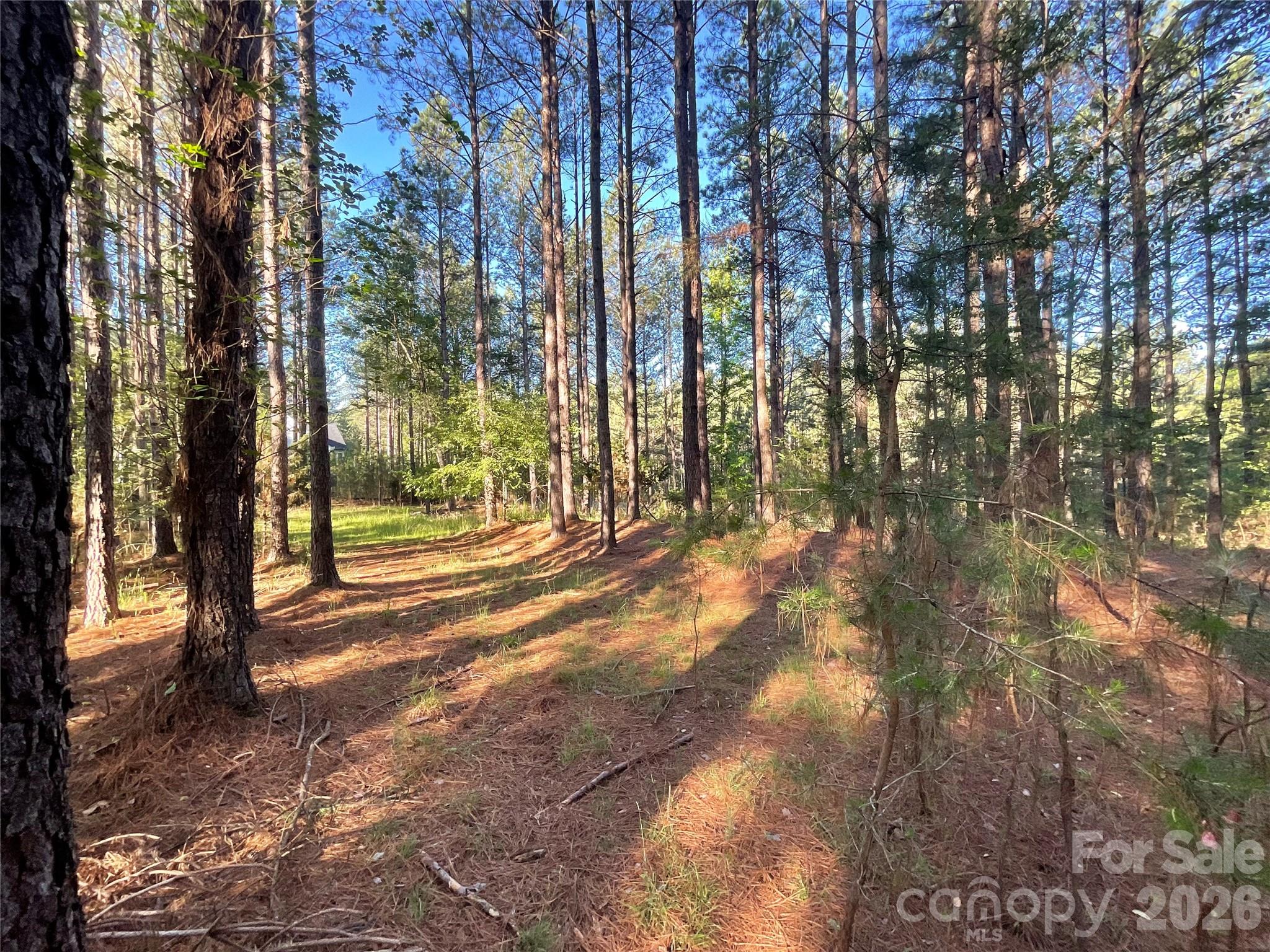 105 Whispering Pines Lane