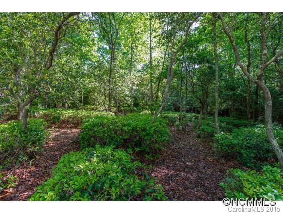 Connestee Falls - Residential