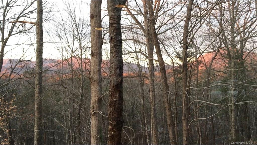 Laurel Ridge - Residential