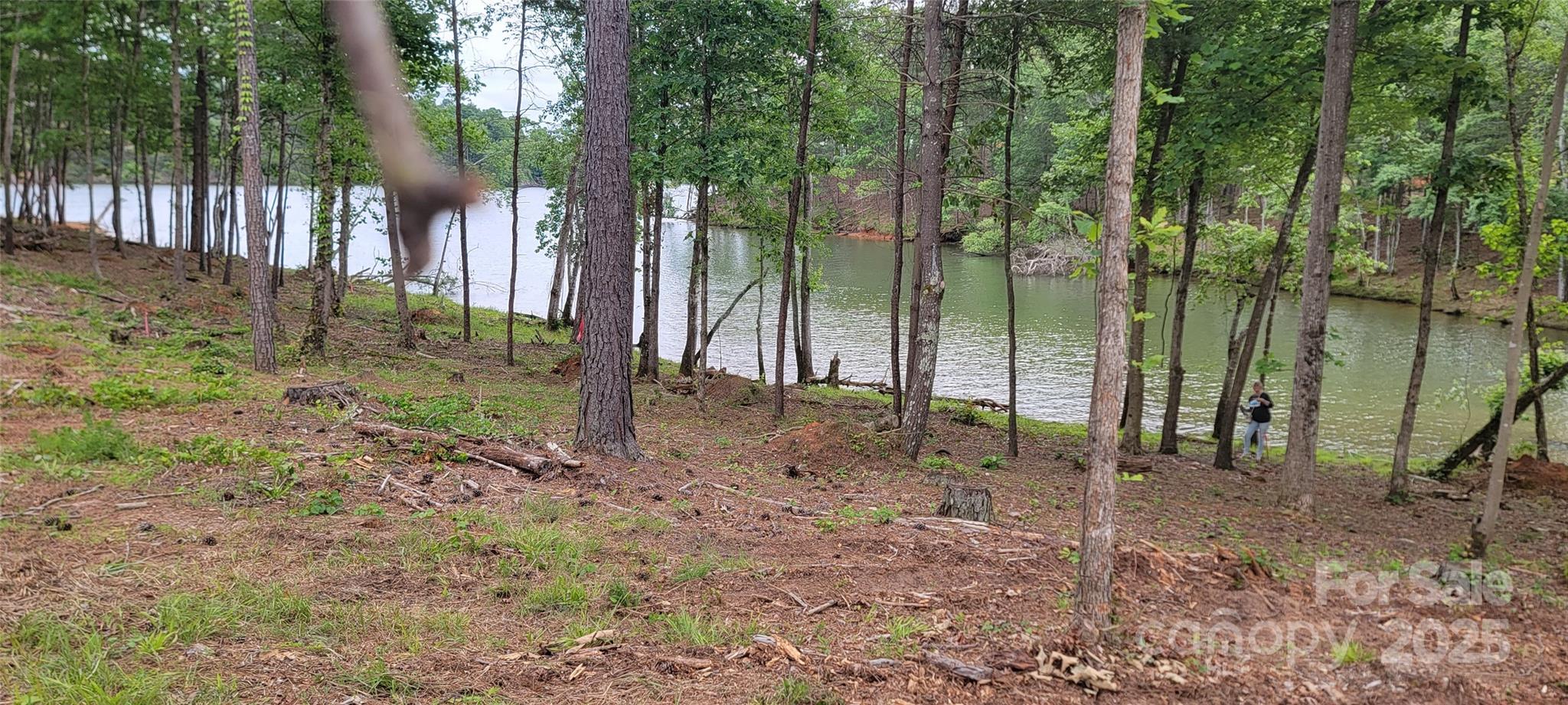 Lakeside Reserve - Land