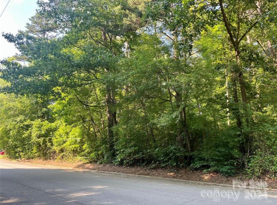 .59 Acre Lot, located on E Division Ave. in Salisbury, NC. The owner is also selling .17 Acre Lot on 3rd St. in Spencer, NC.