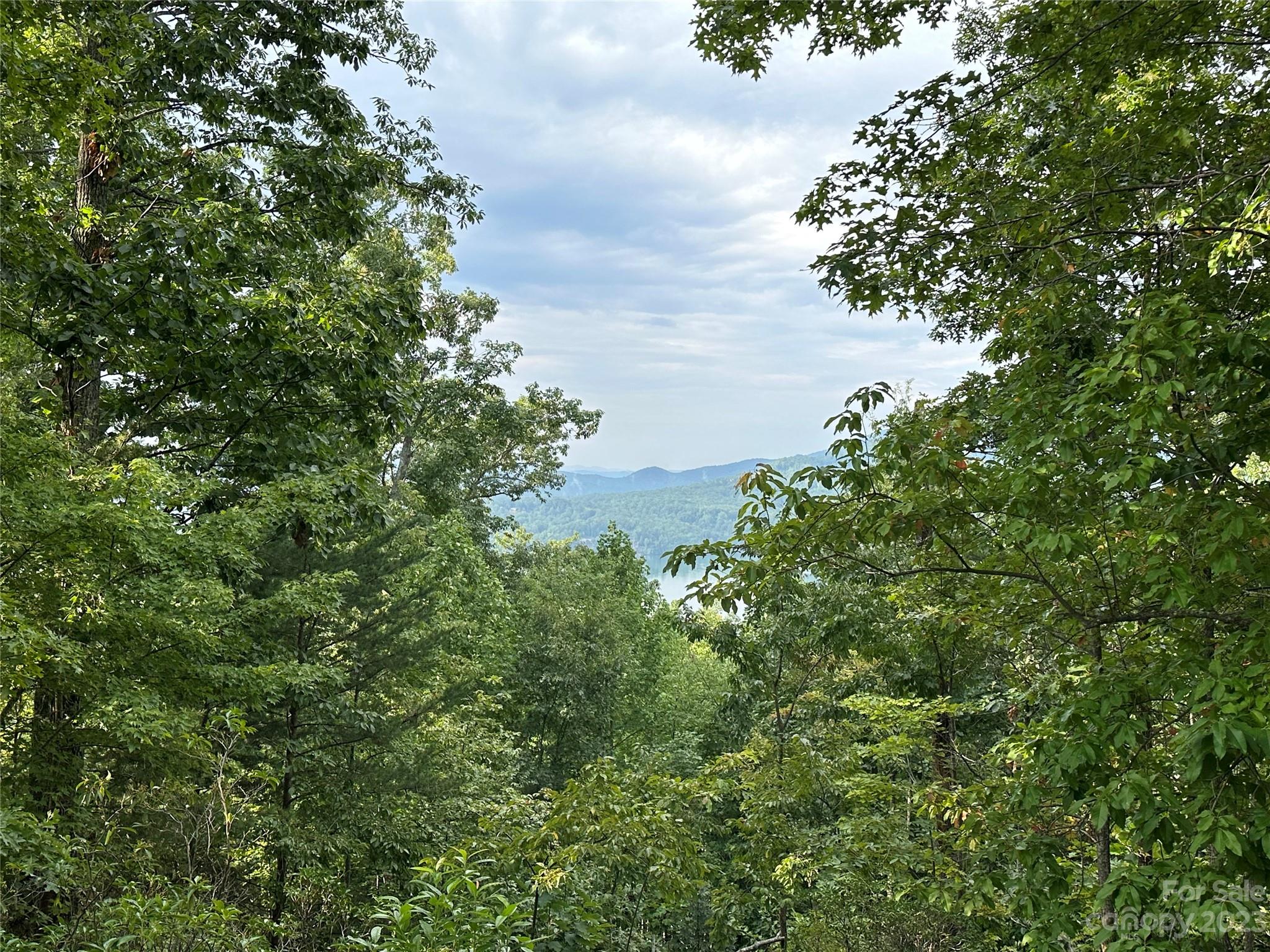Rumbling Bald on Lake Lure - Land