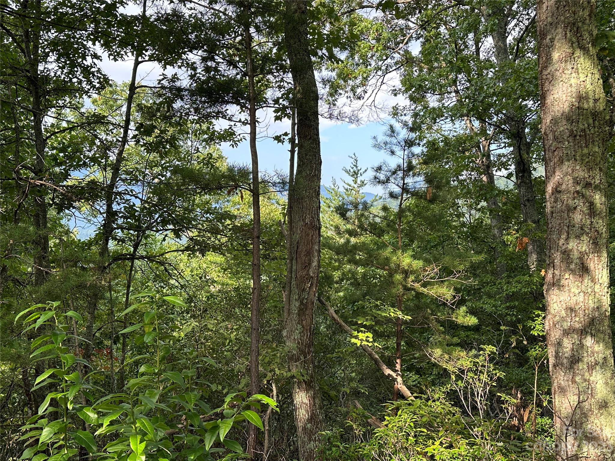 Rumbling Bald on Lake Lure - Land