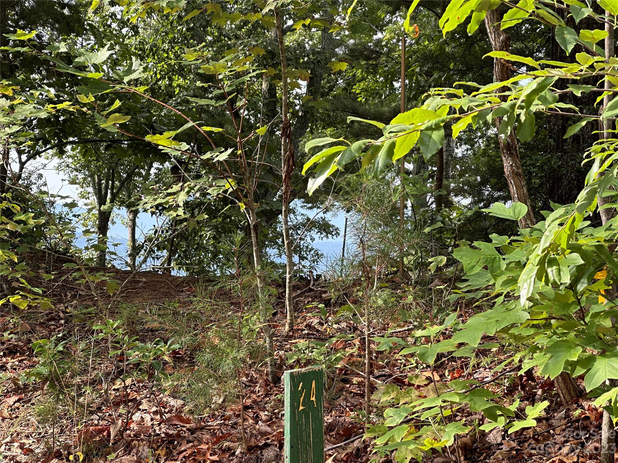 Rumbling Bald on Lake Lure - Land